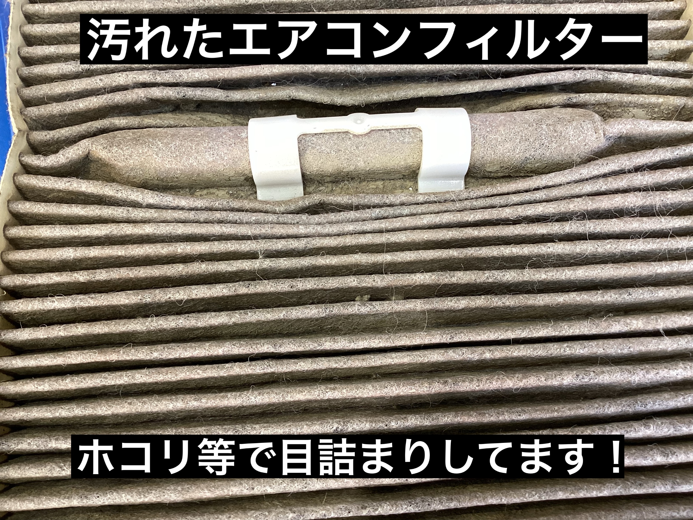 スタッフが撮影