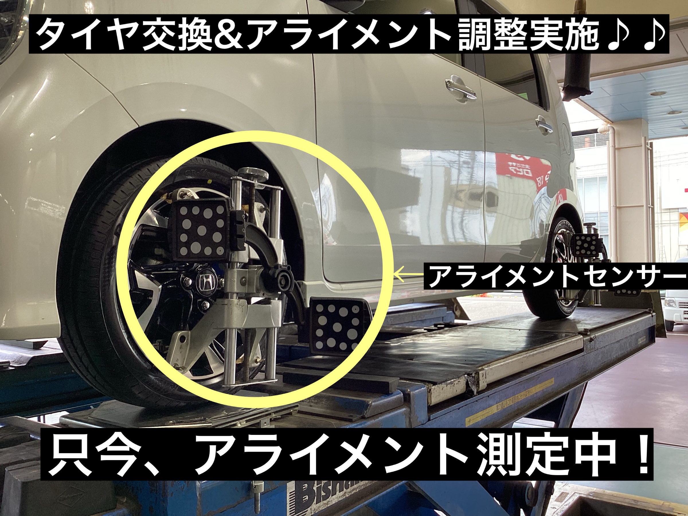 スタッフが撮影