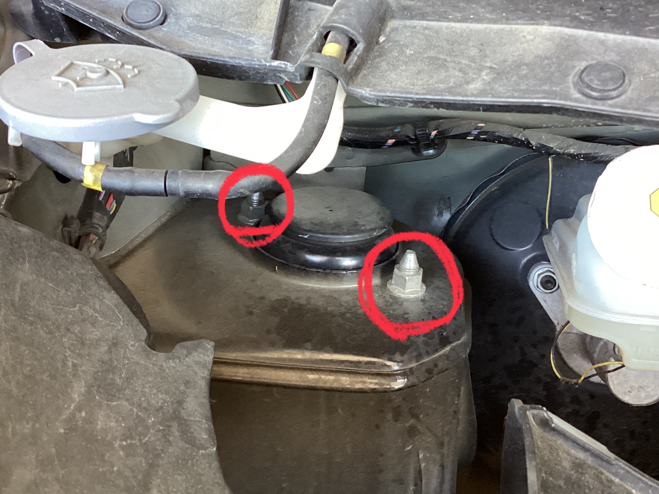 日産・デイズ(B21W)〜ダウンサス取り付け(RSR Ti2000)〜 | 店舗 日産・デイズ(B21W)〜ダウンサス取り付け(RSR Ti2000)〜 | 店舗