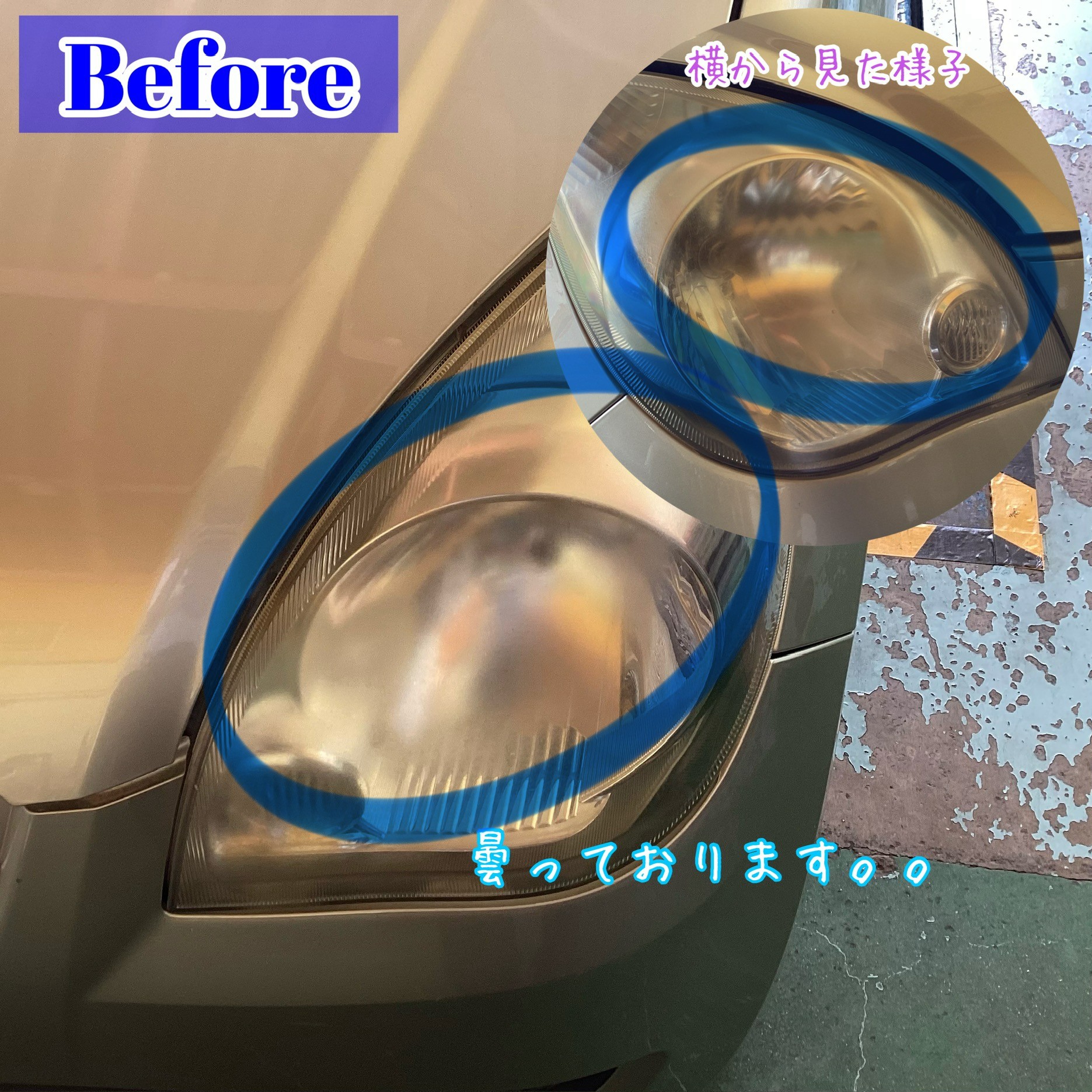 スタッフが撮影加工した画像