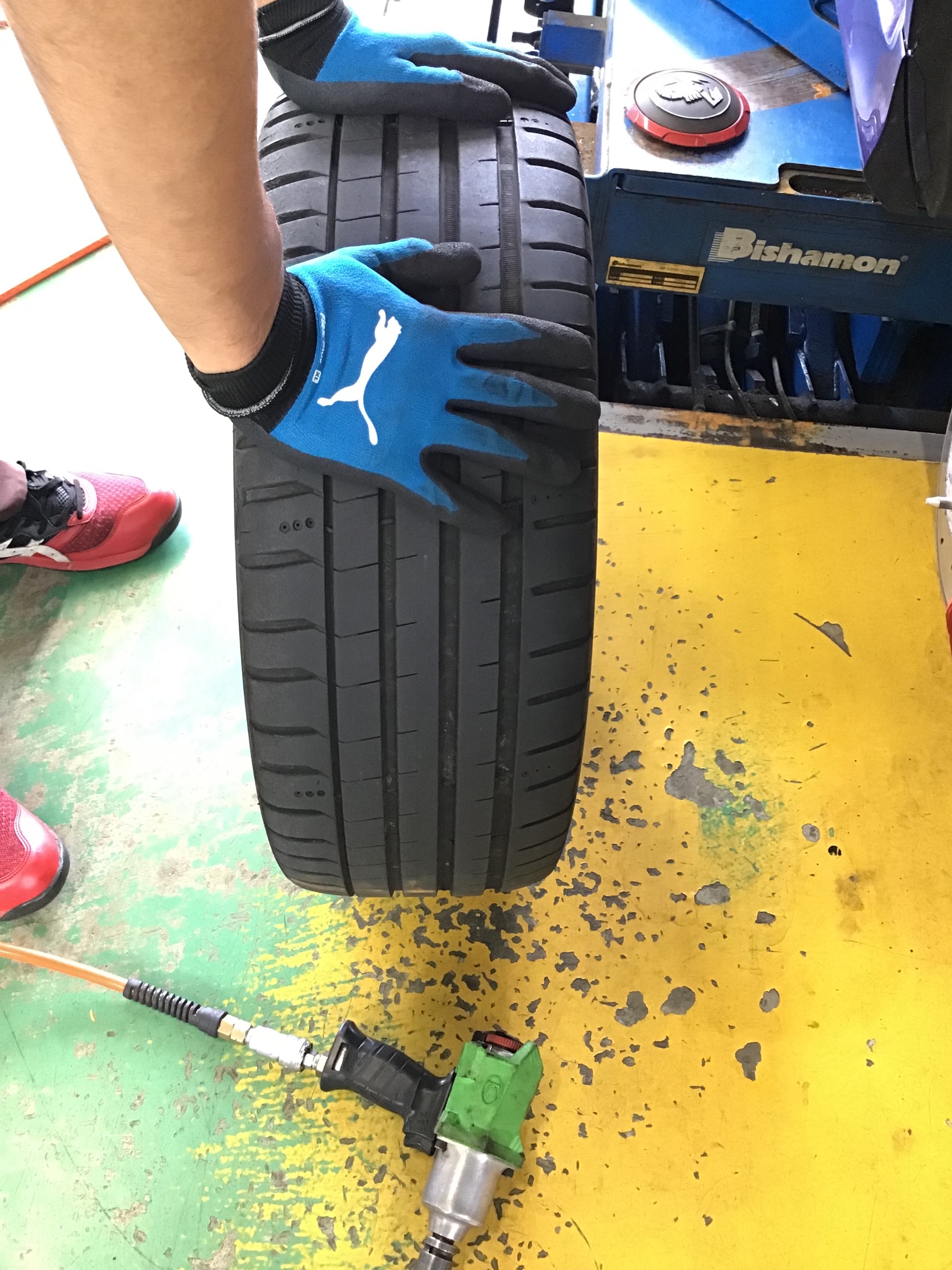 スタッフ撮影です。