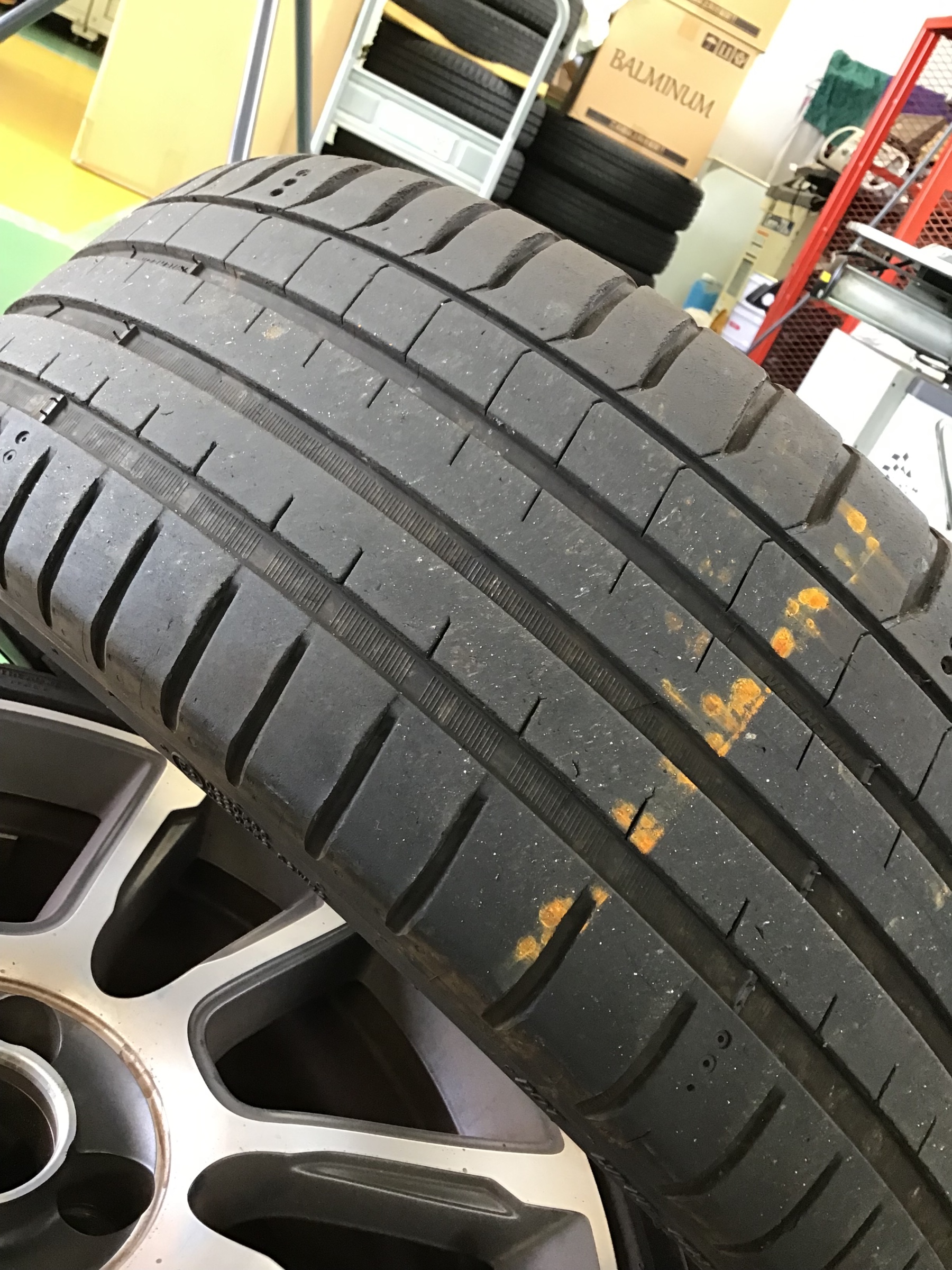 スタッフ撮影です。