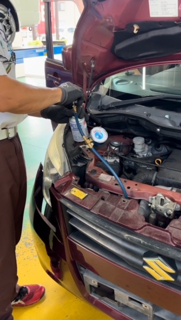 スタッフ撮影です。