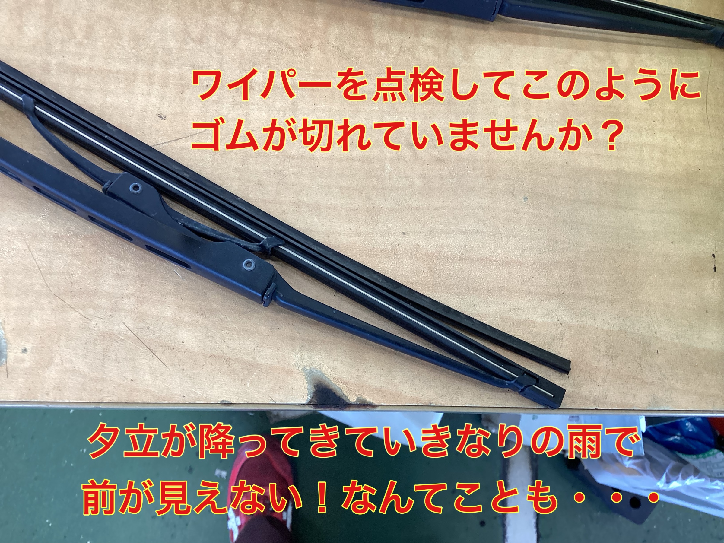 スタッフ撮影。無料画像編集アプリにて編集