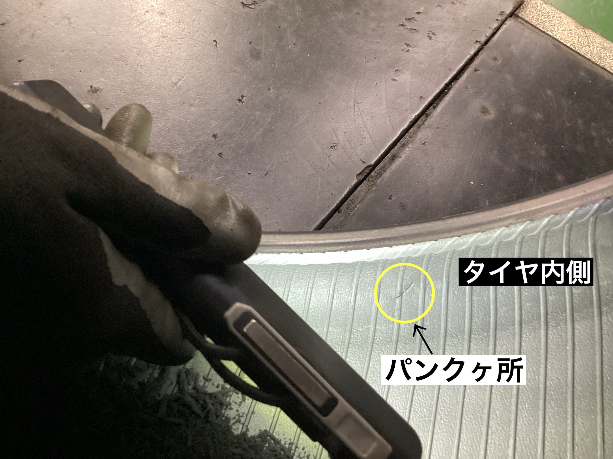 スタッフが撮影