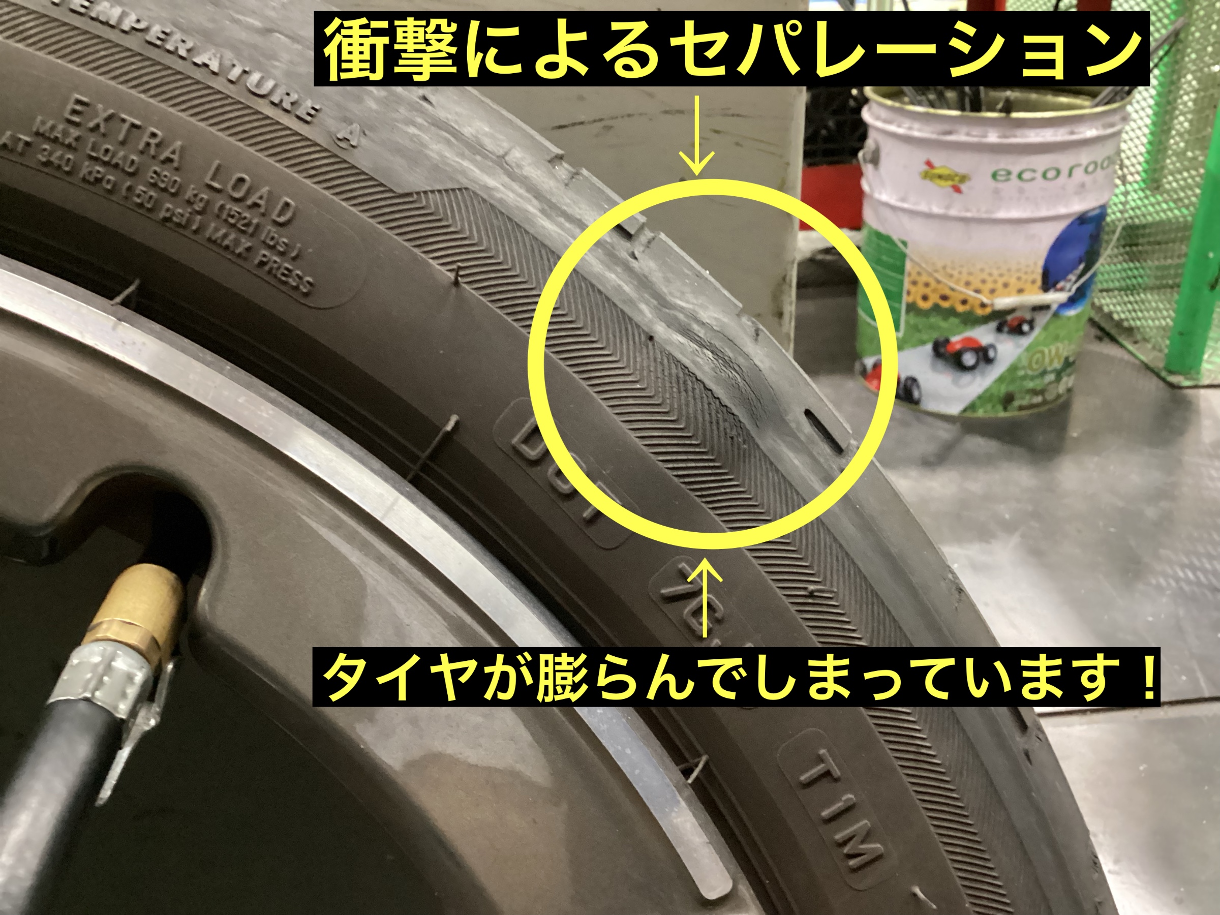 スタッフが撮影