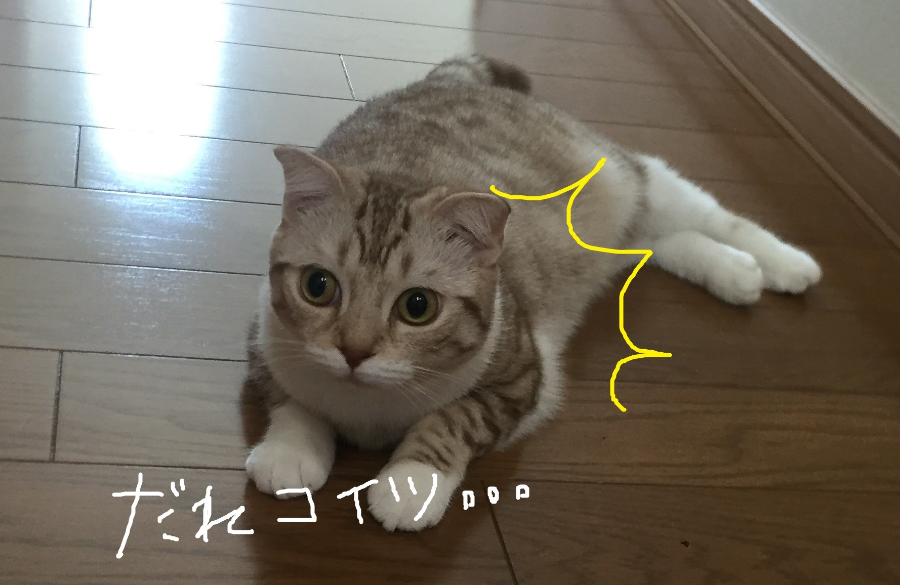 スタッフが撮影した写真です