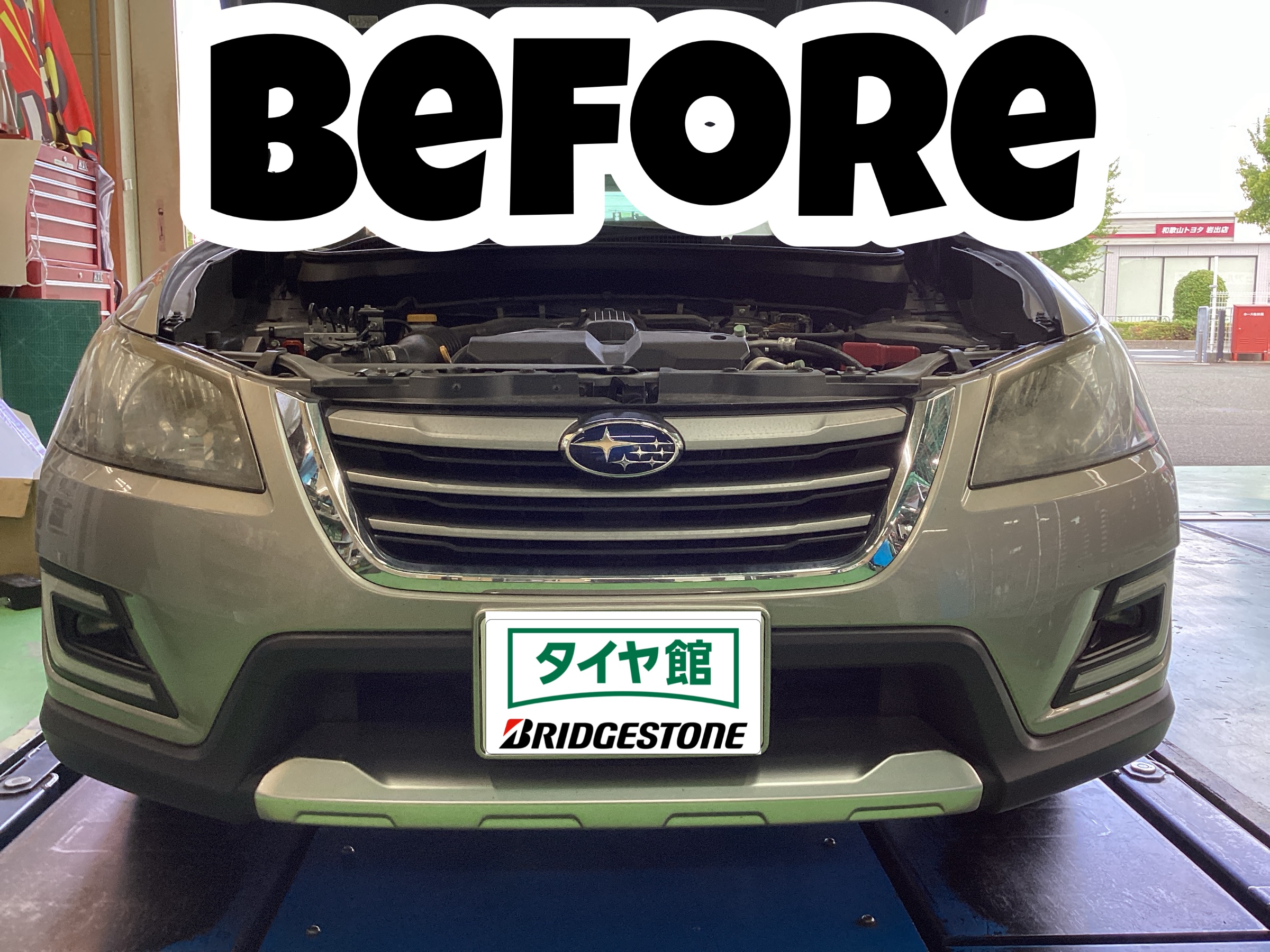 スタッフ撮影分