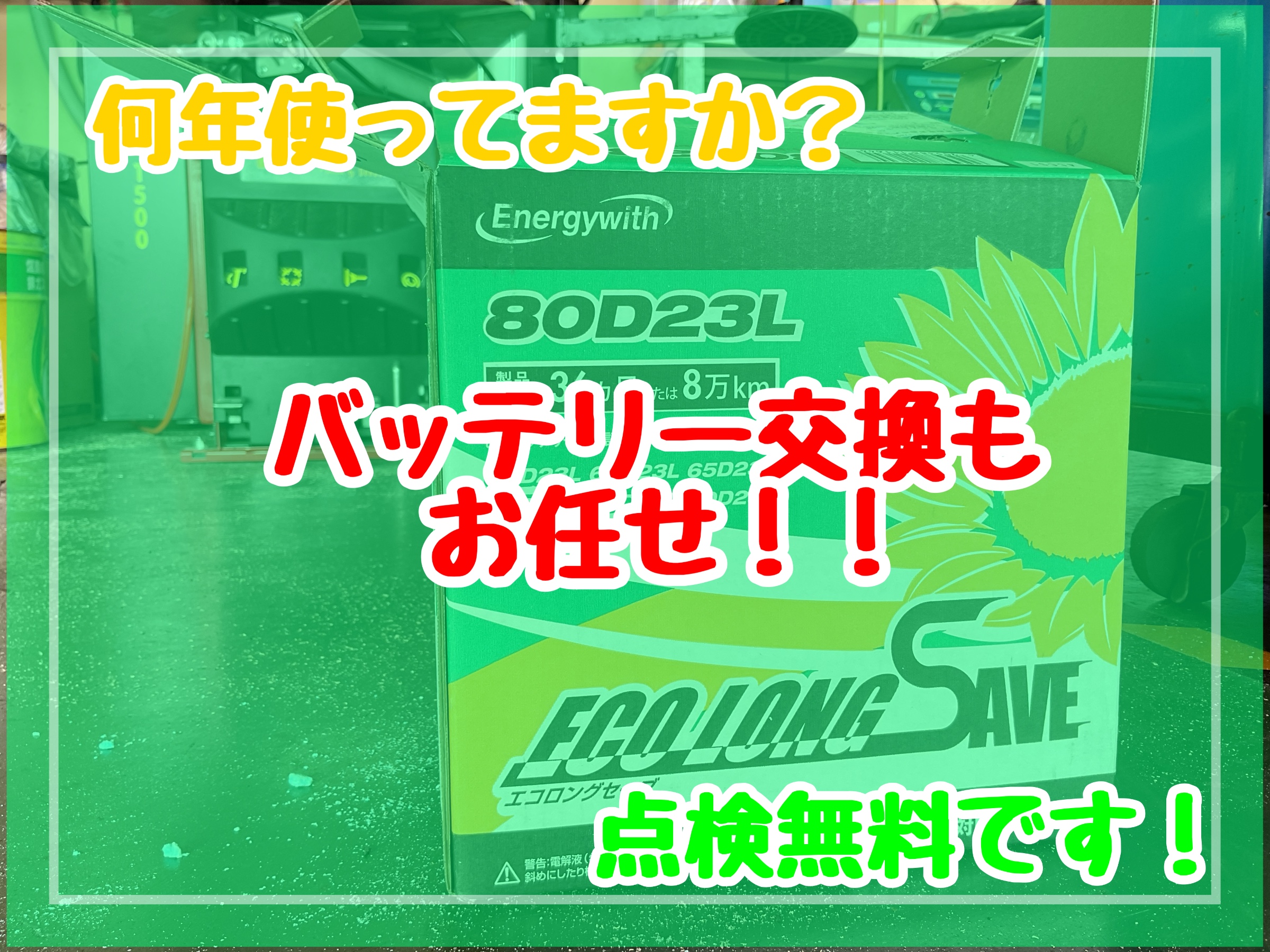 スタッフが撮影加工