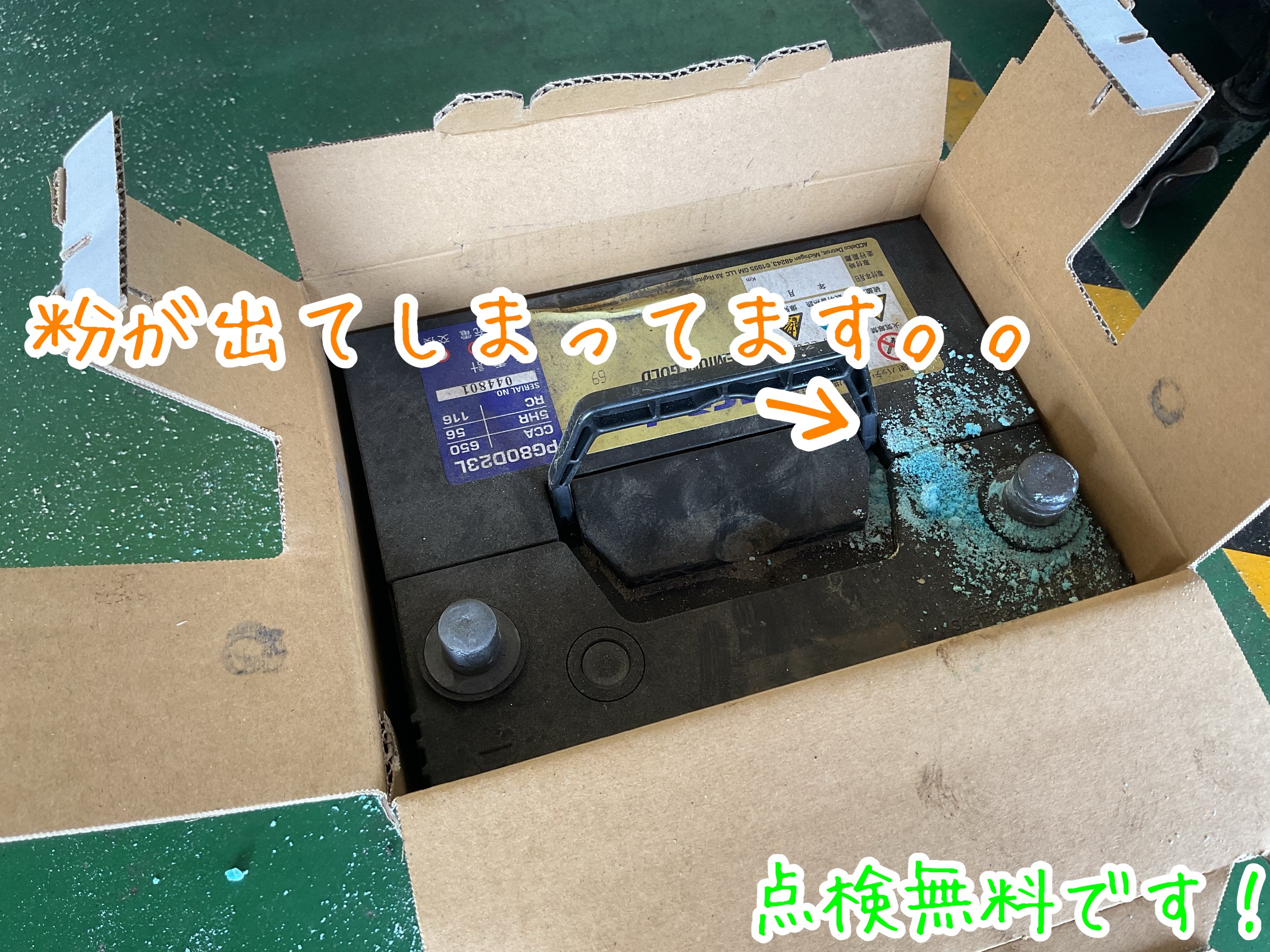 スタッフが撮影加工