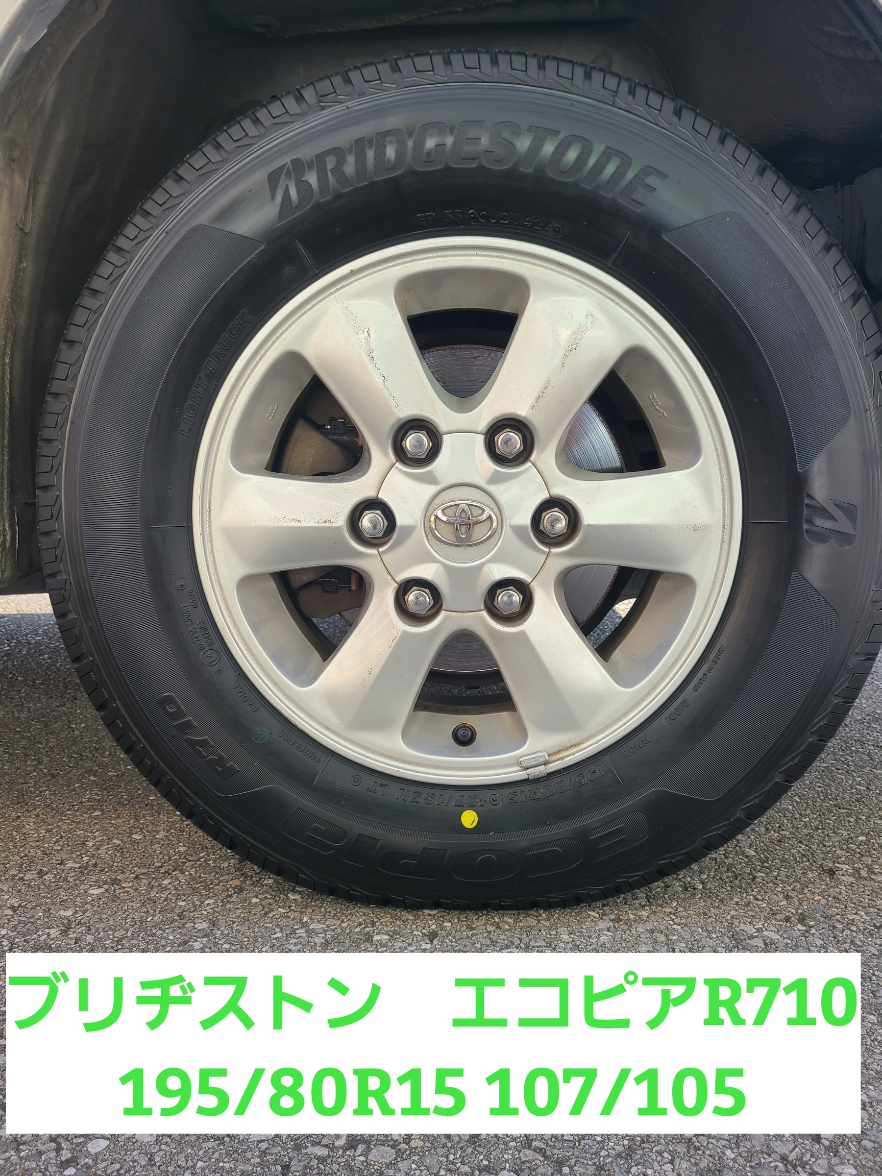 スタッフが撮影しました。