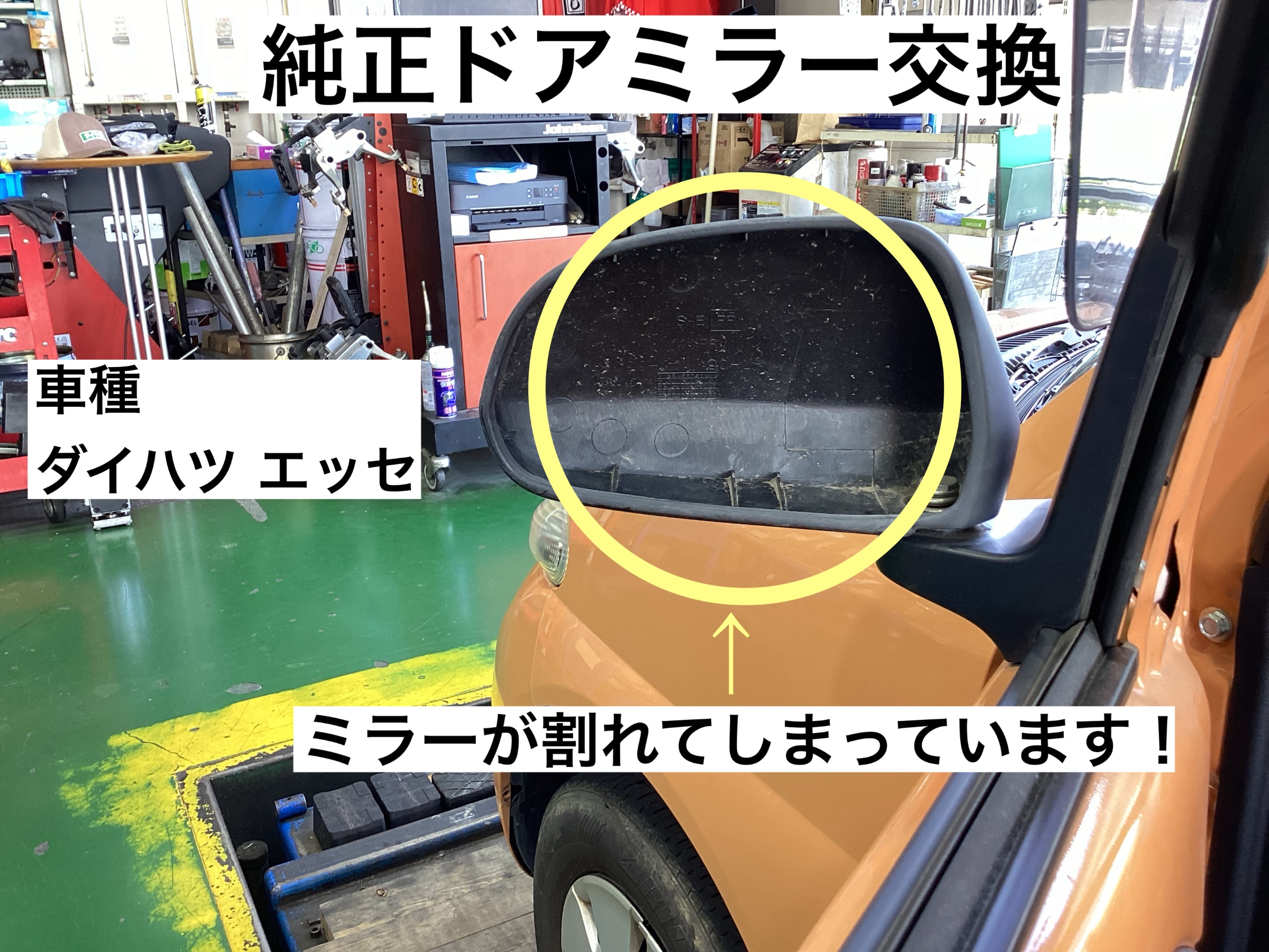 スタッフが撮影
