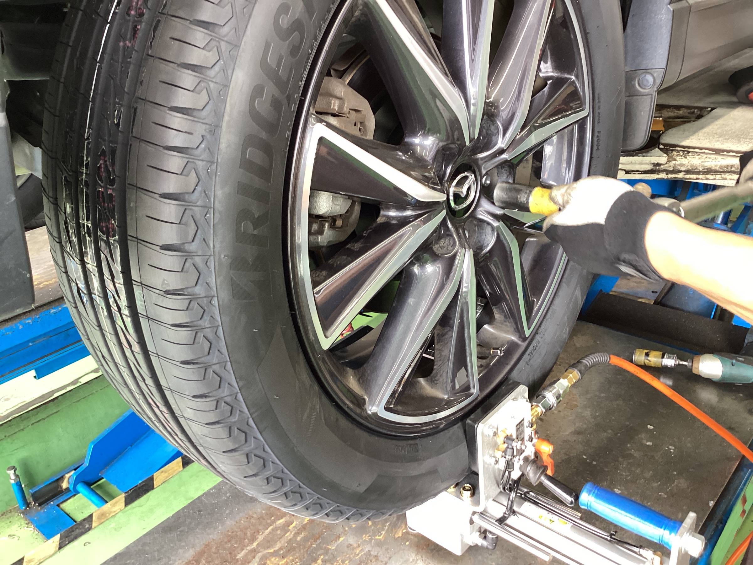 スタッフ撮影分