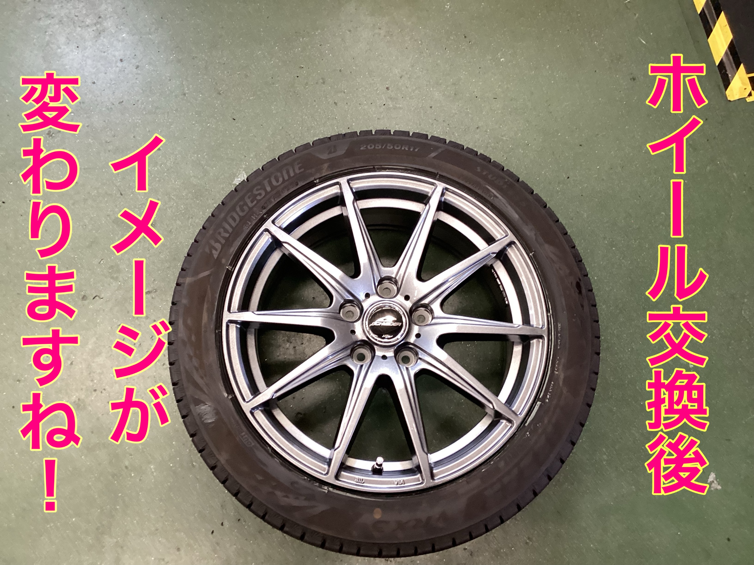 スタッフ撮影。無料画像編集アプリにて編集。