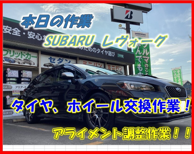 スタッフが撮影