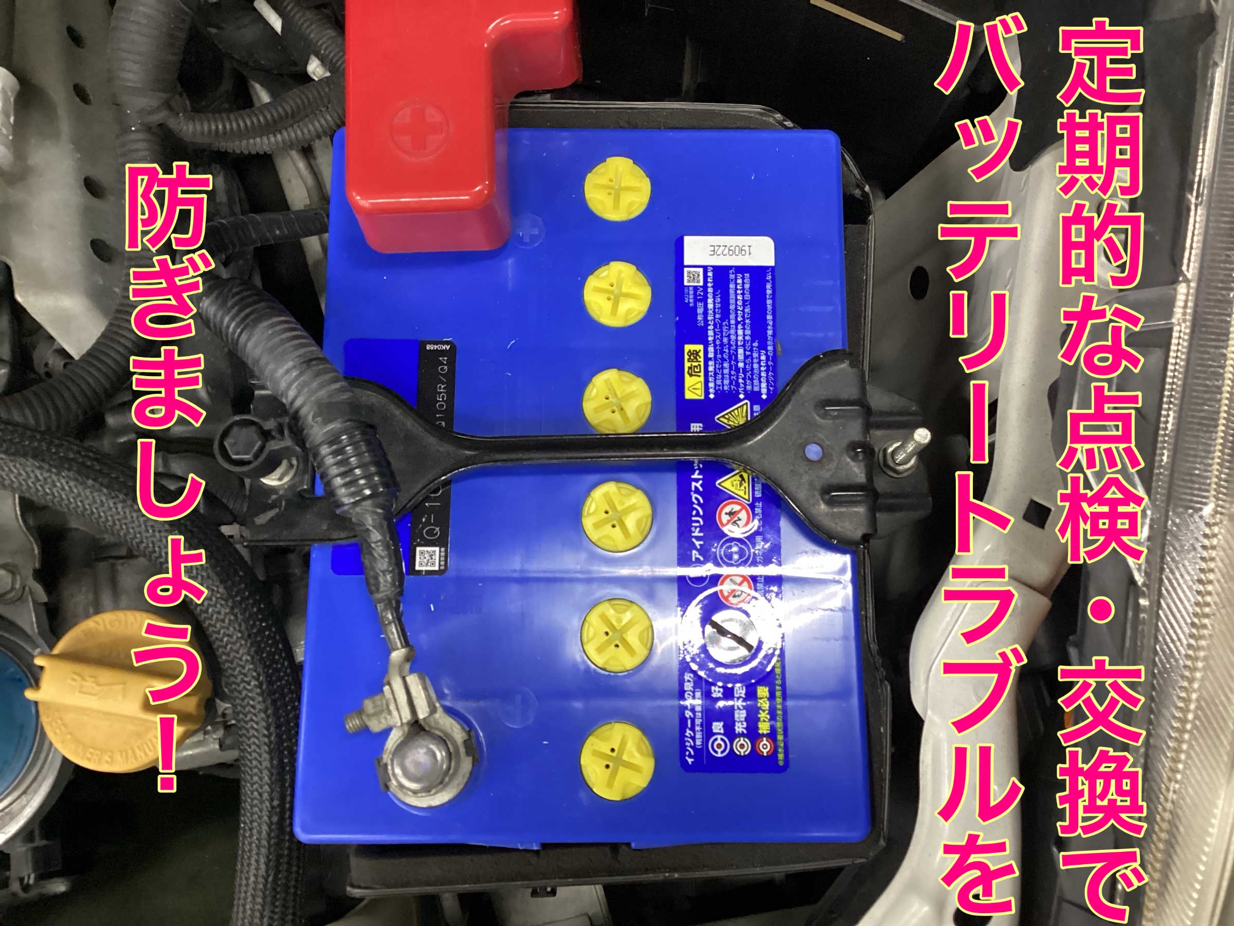 スタッフ撮影。無料画像編集アプリにて編集