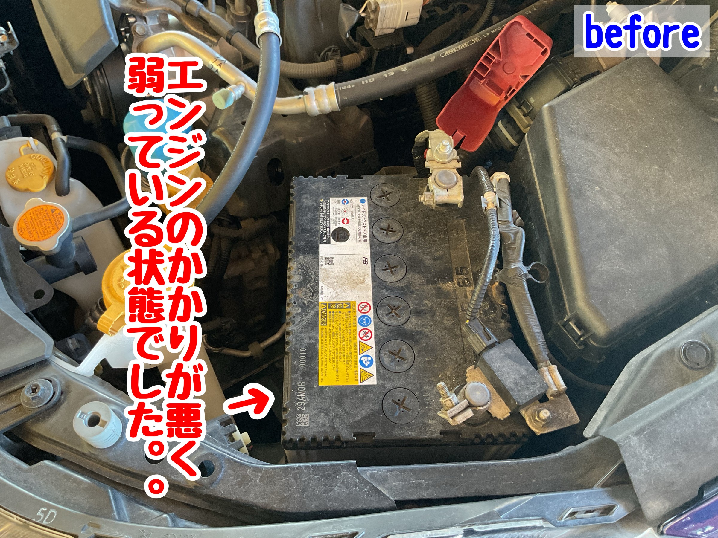 スタッフが撮影加工した画像