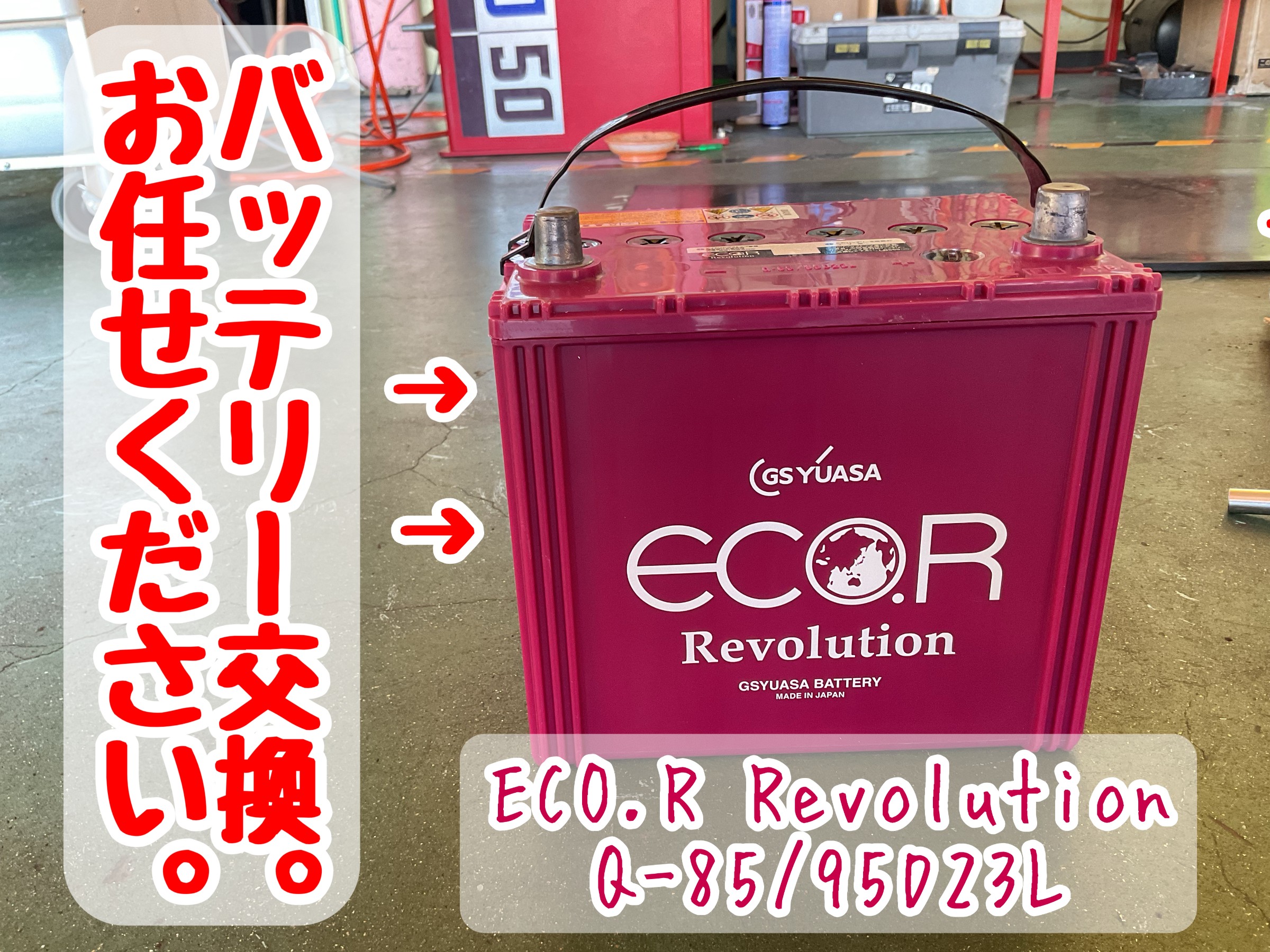 スタッフが撮影加工した画像
