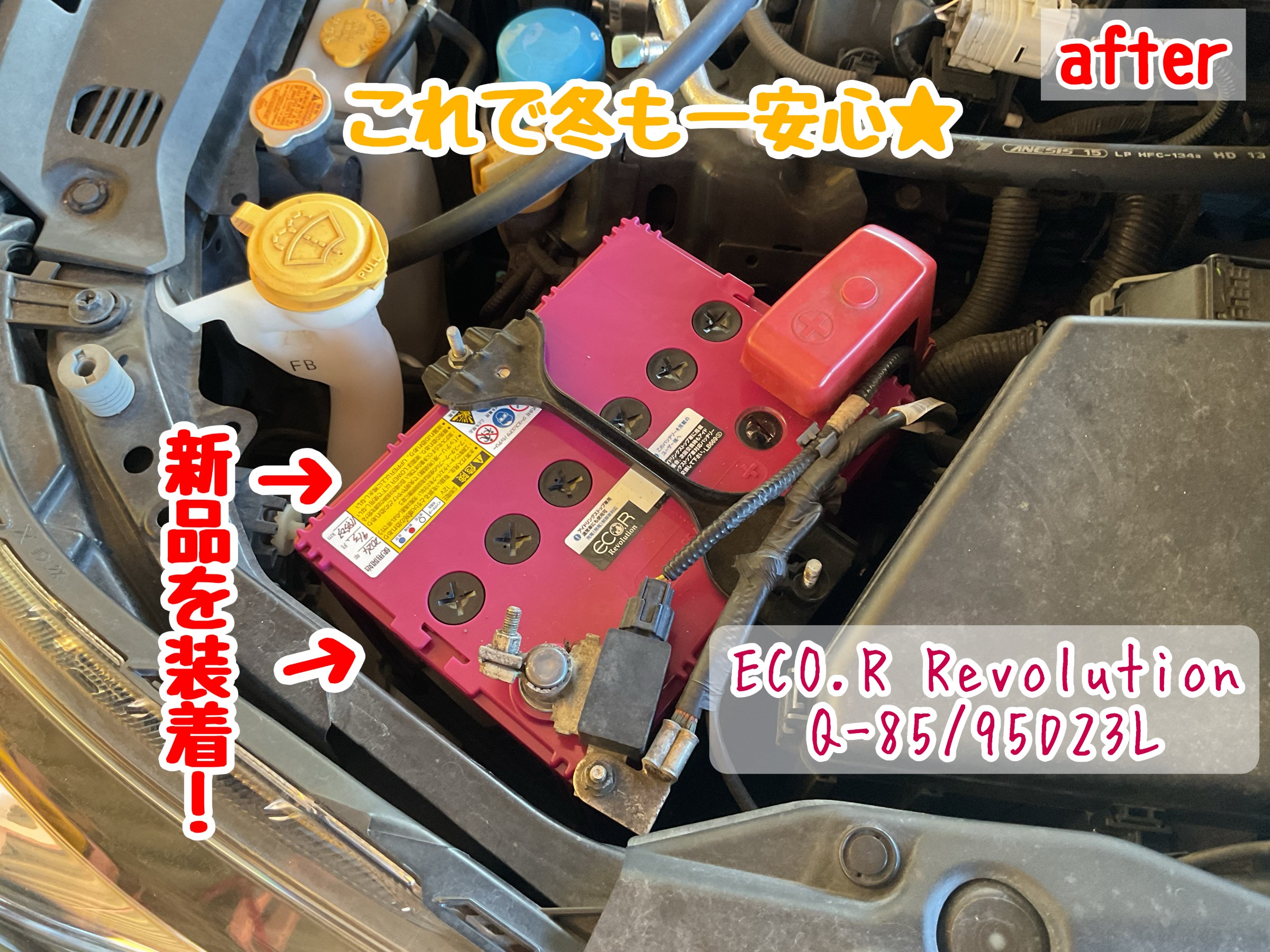 スタッフが撮影加工した画像