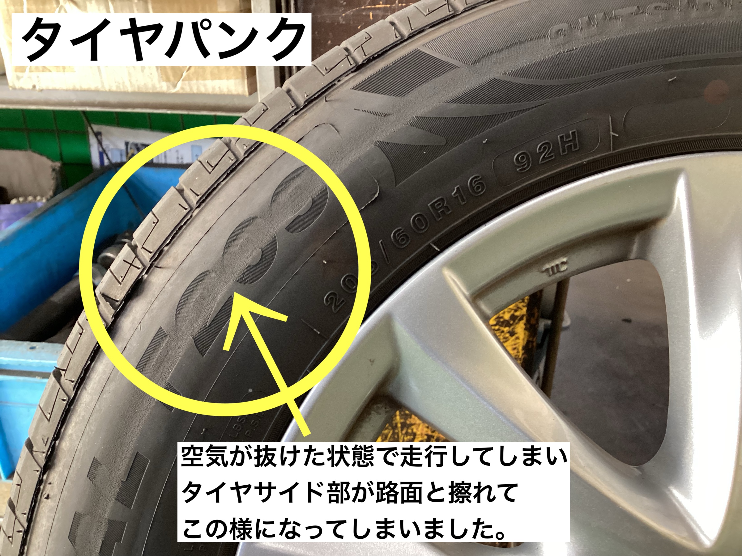 スタッフが撮影