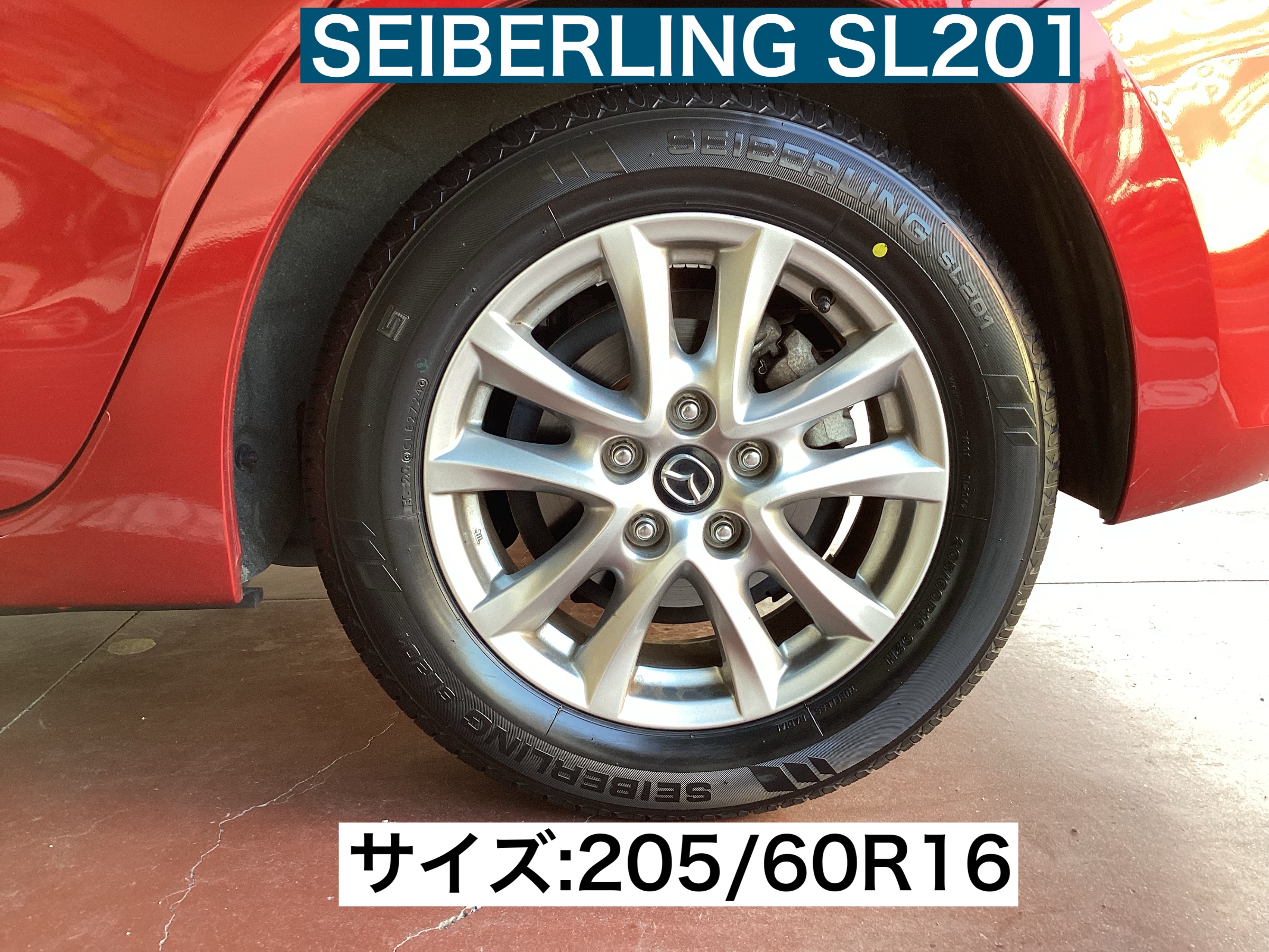 スタッフが撮影