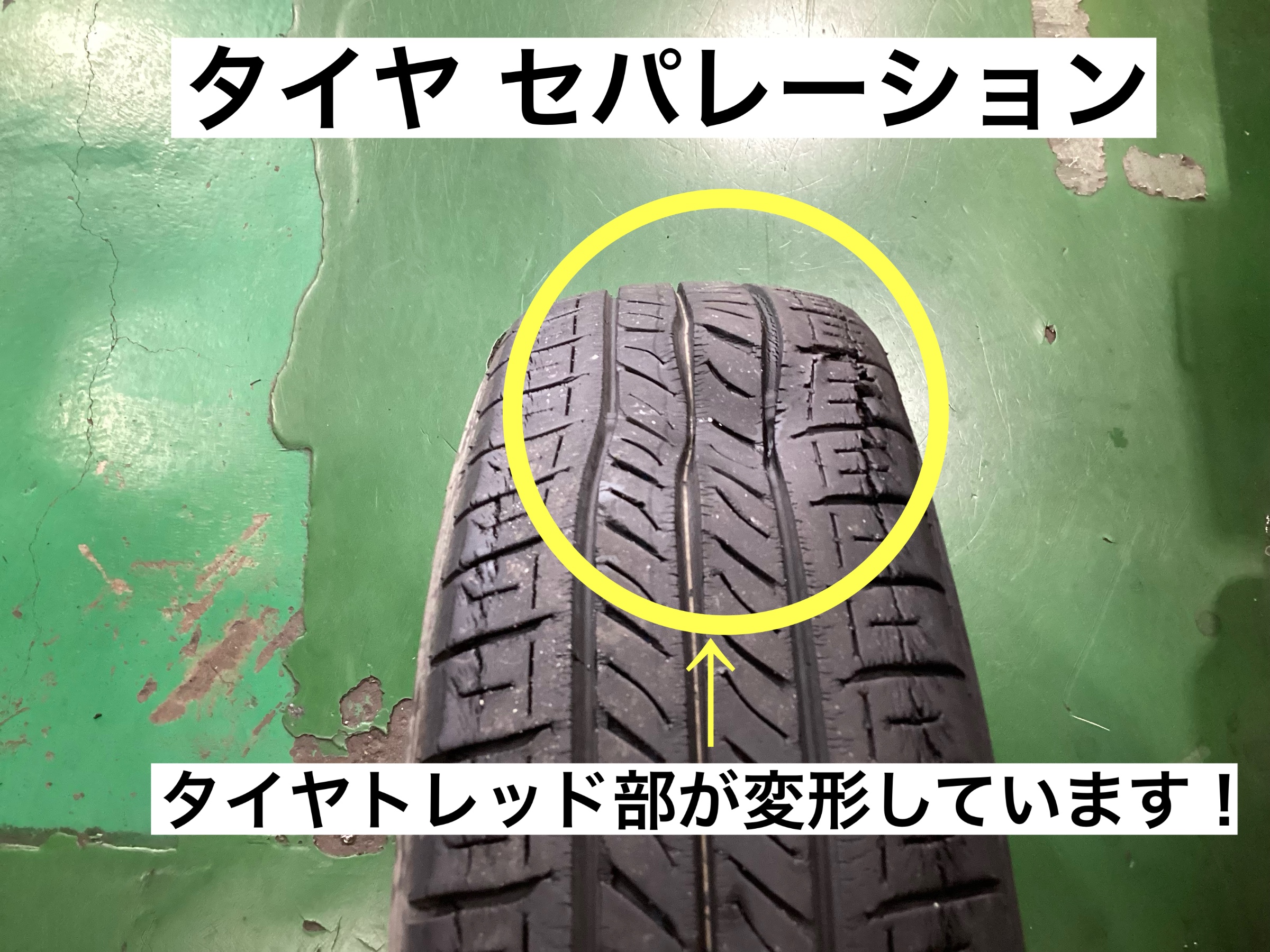 スタッフが撮影