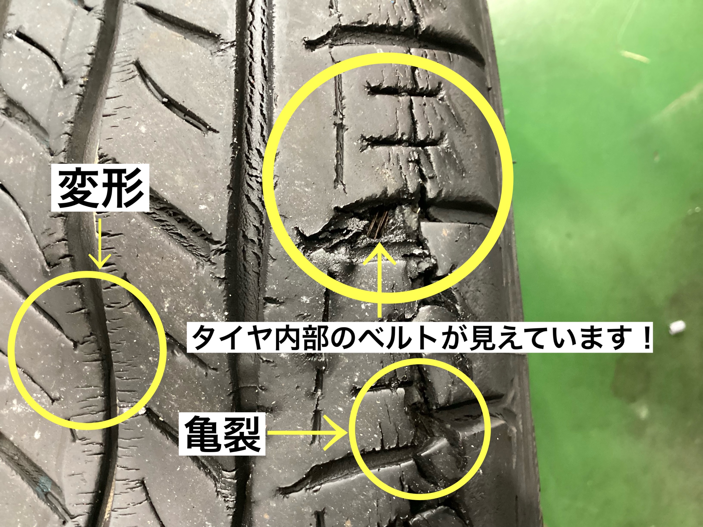 スタッフが撮影