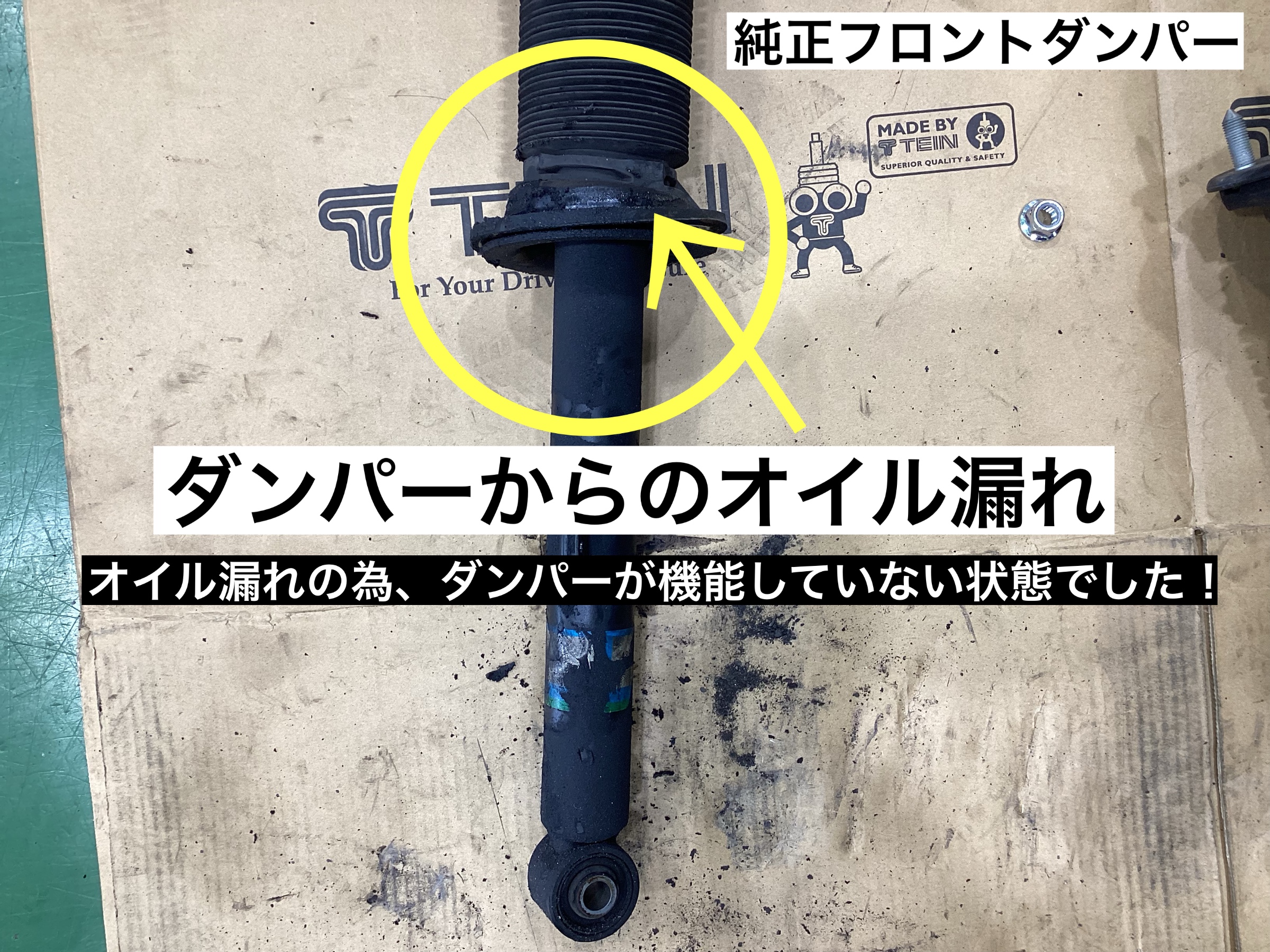 スタッフが撮影
