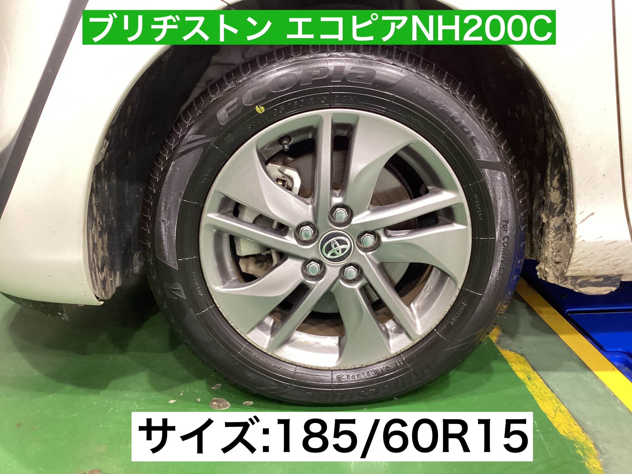 スタッフが撮影