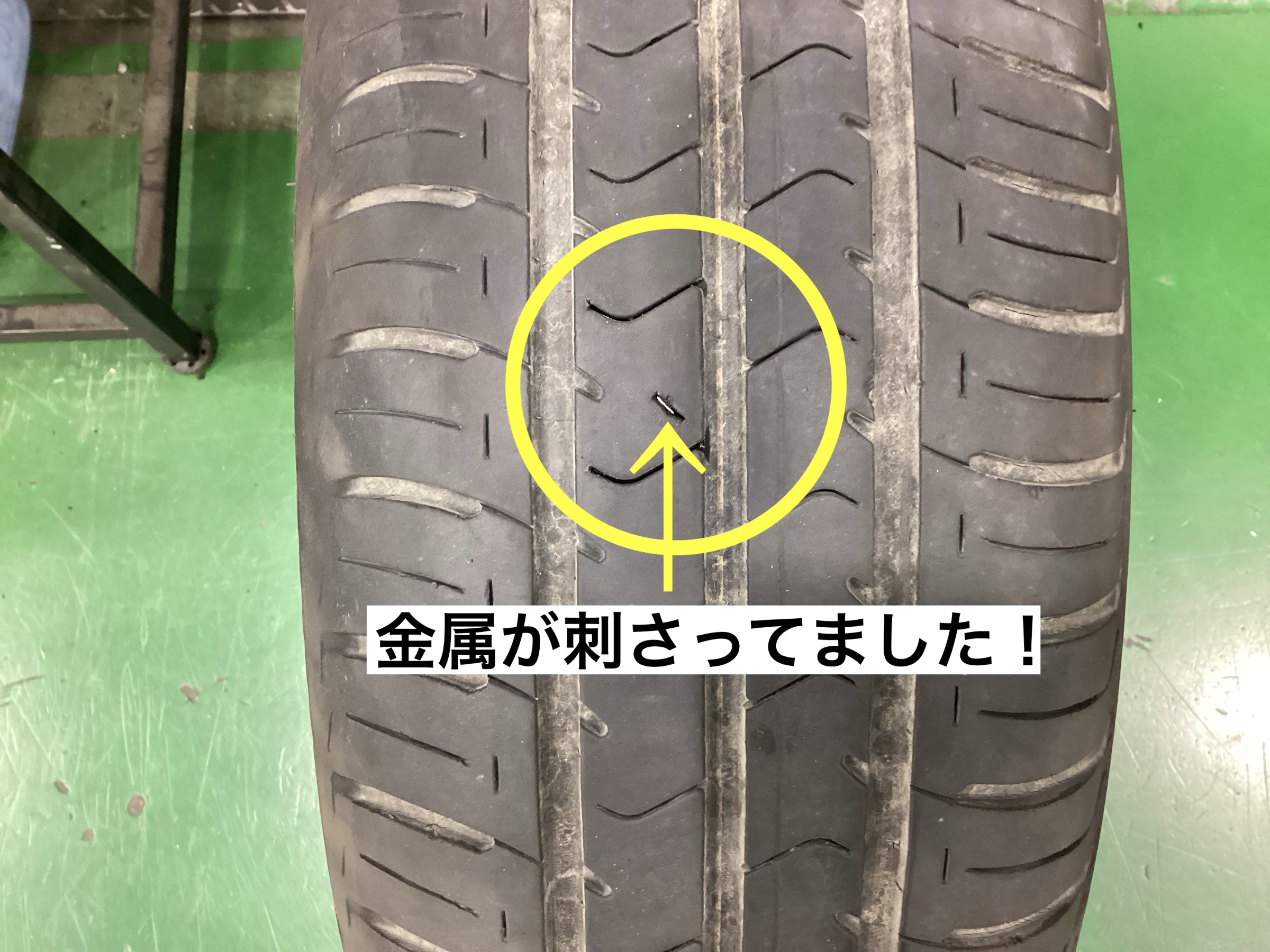 スタッフが撮影