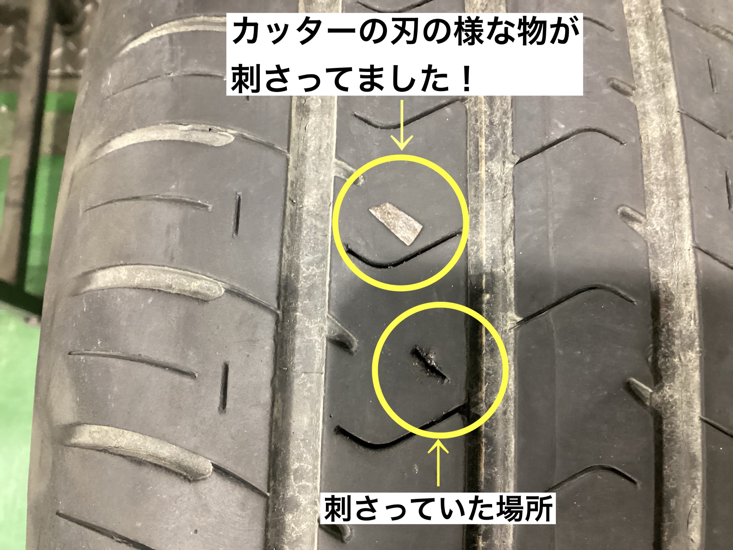 スタッフが撮影