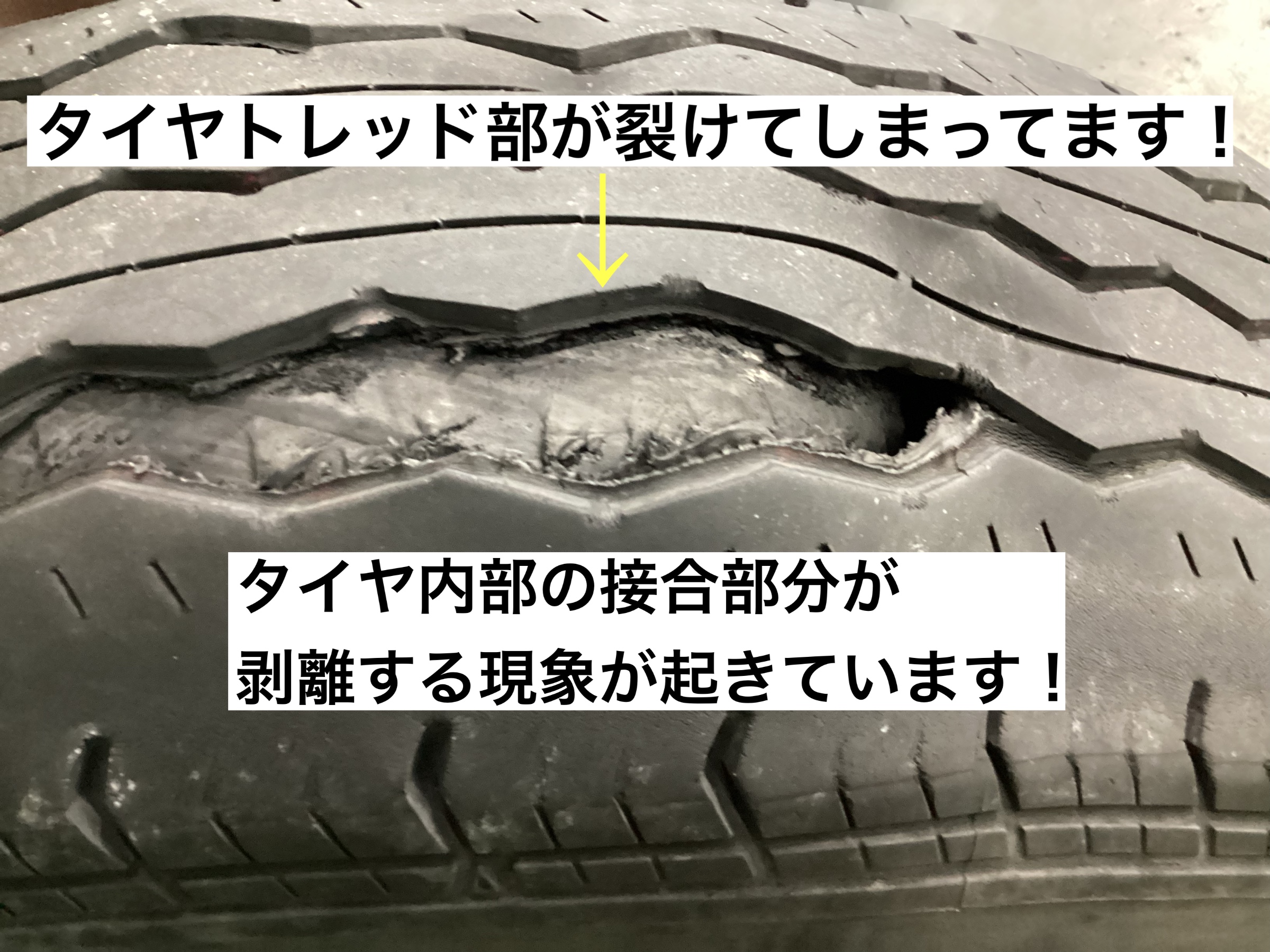 スタッフが撮影