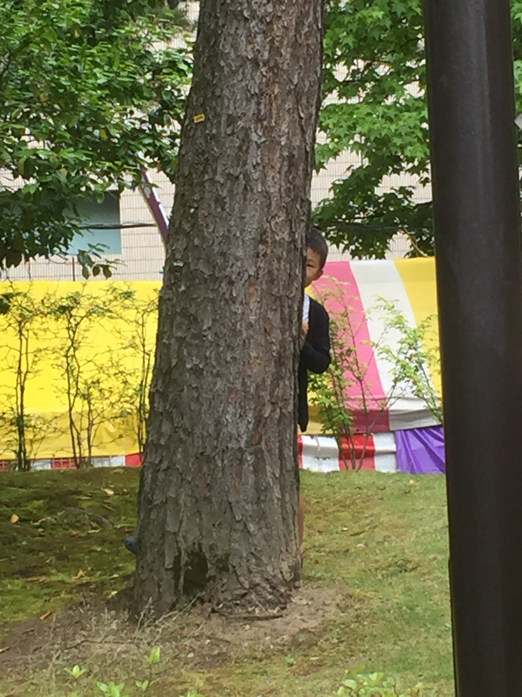 中央公園でかくれんぼ⁇