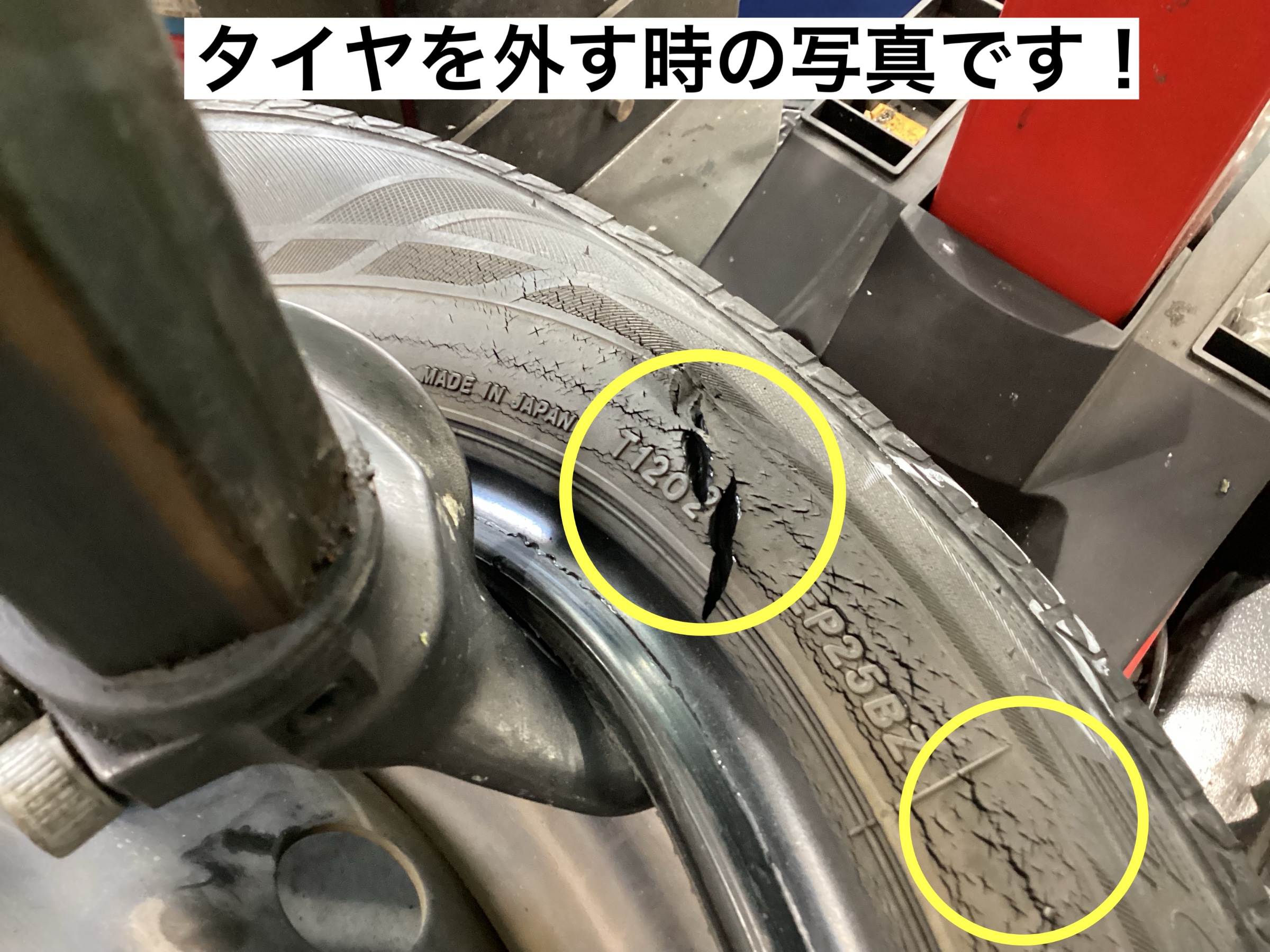 スタッフが撮影