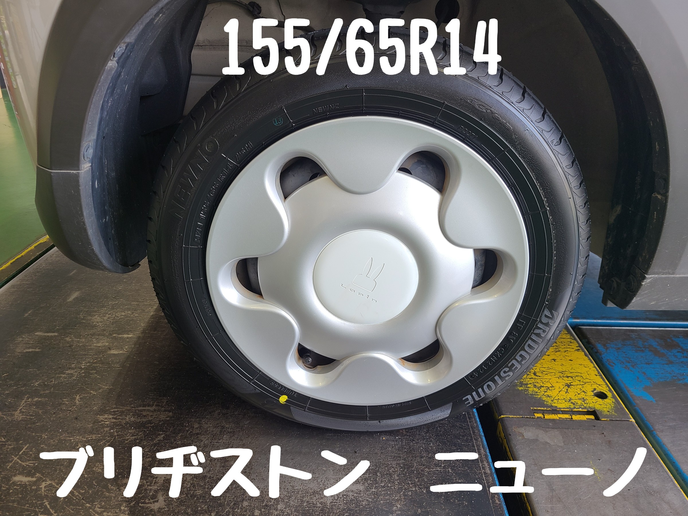 スタッフが撮影しました。