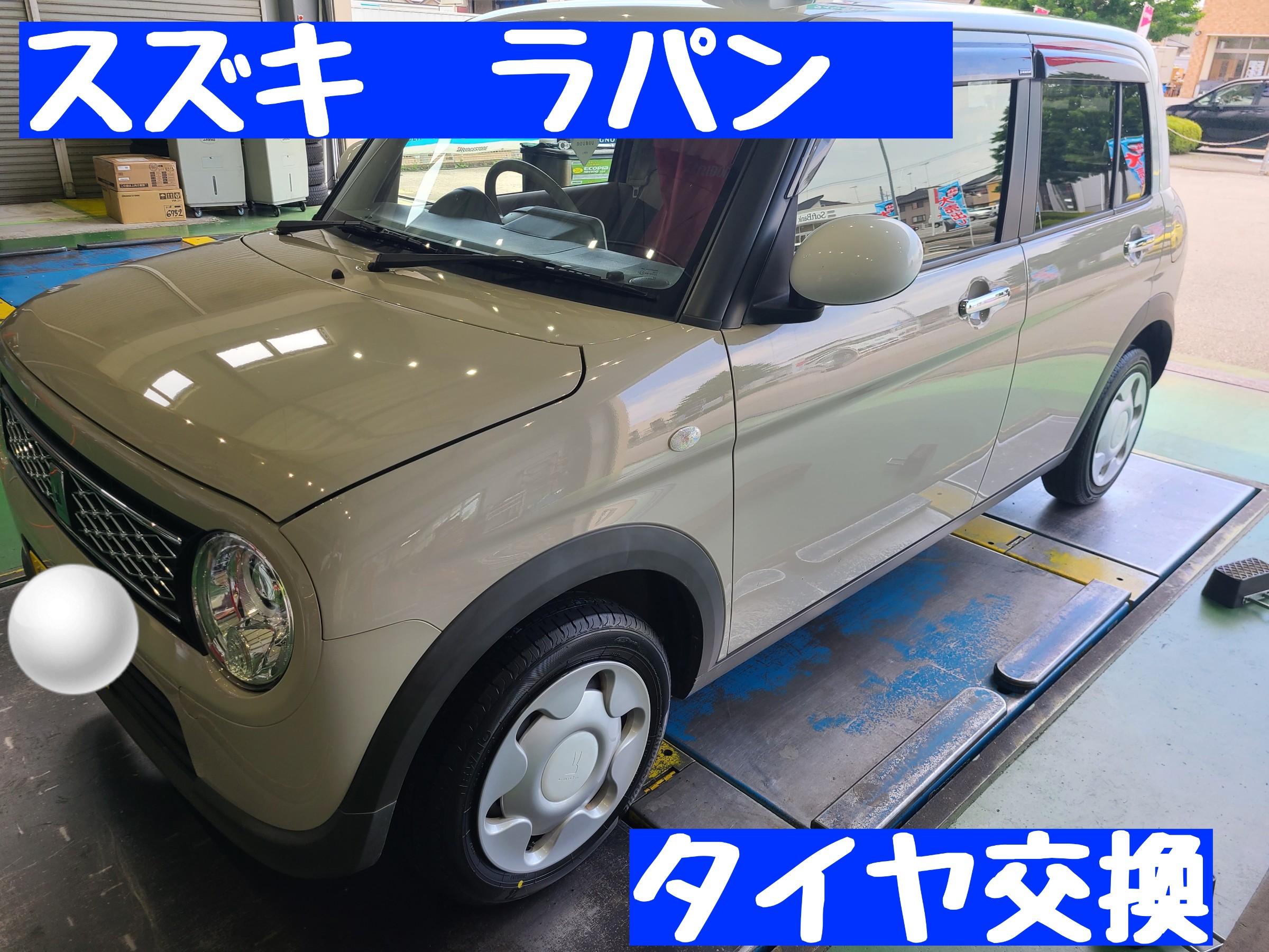 スタッフが撮影しました。