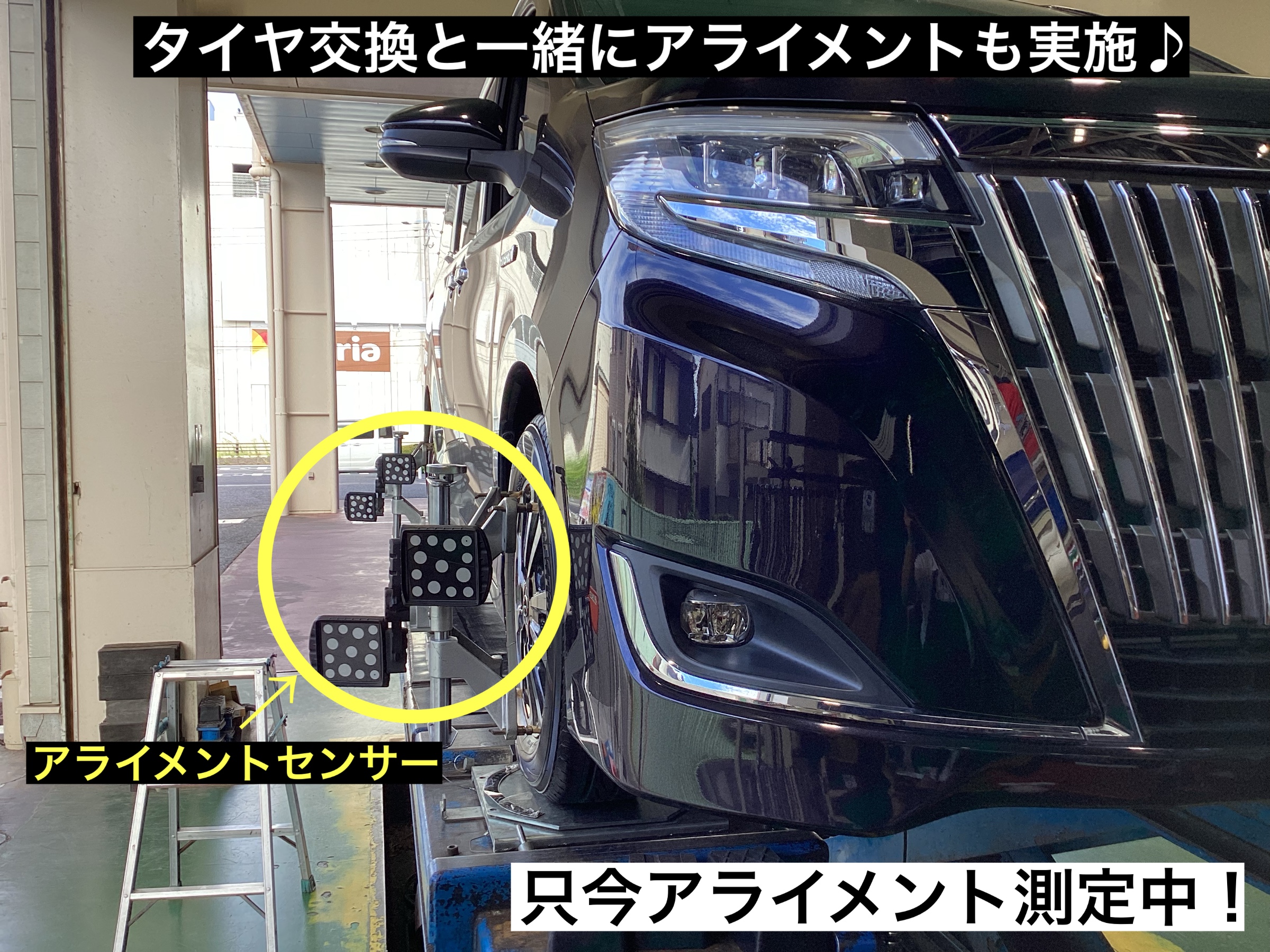 スタッフが撮影