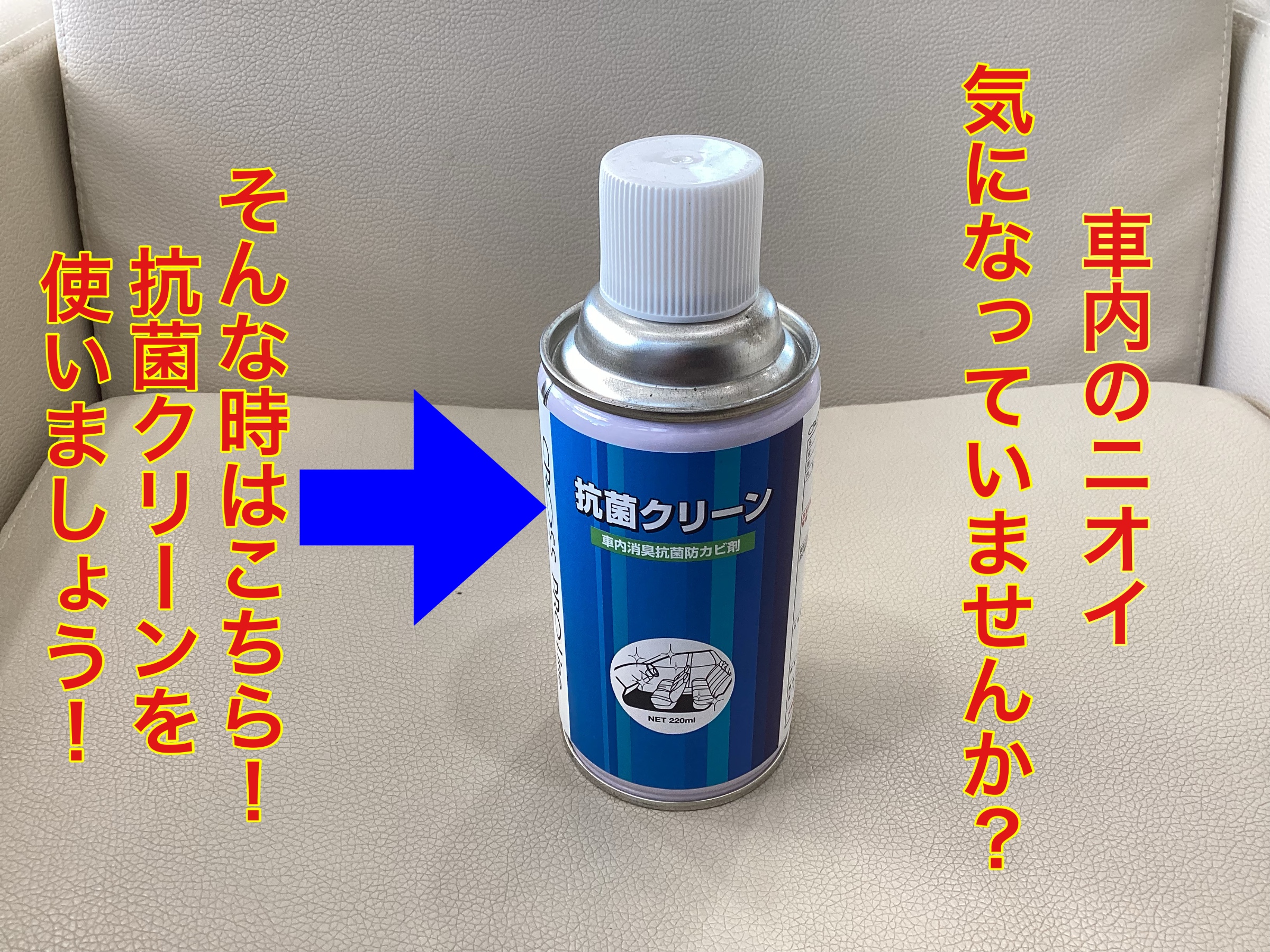 スタッフ撮影。無料画像編集アプリにて編集。