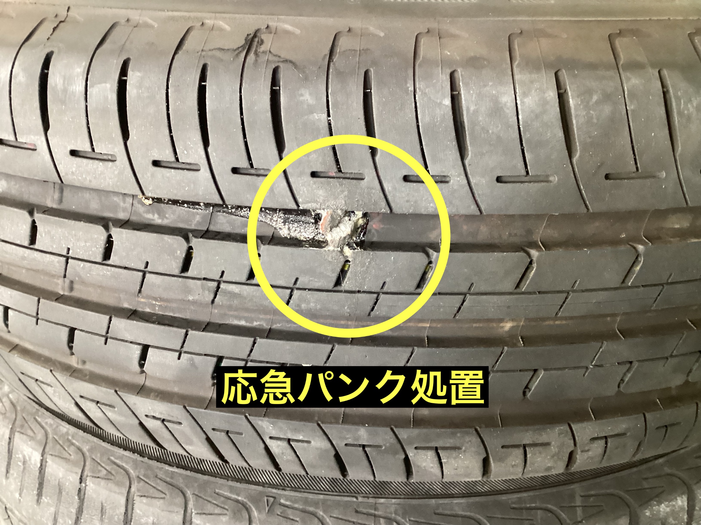 スタッフが撮影