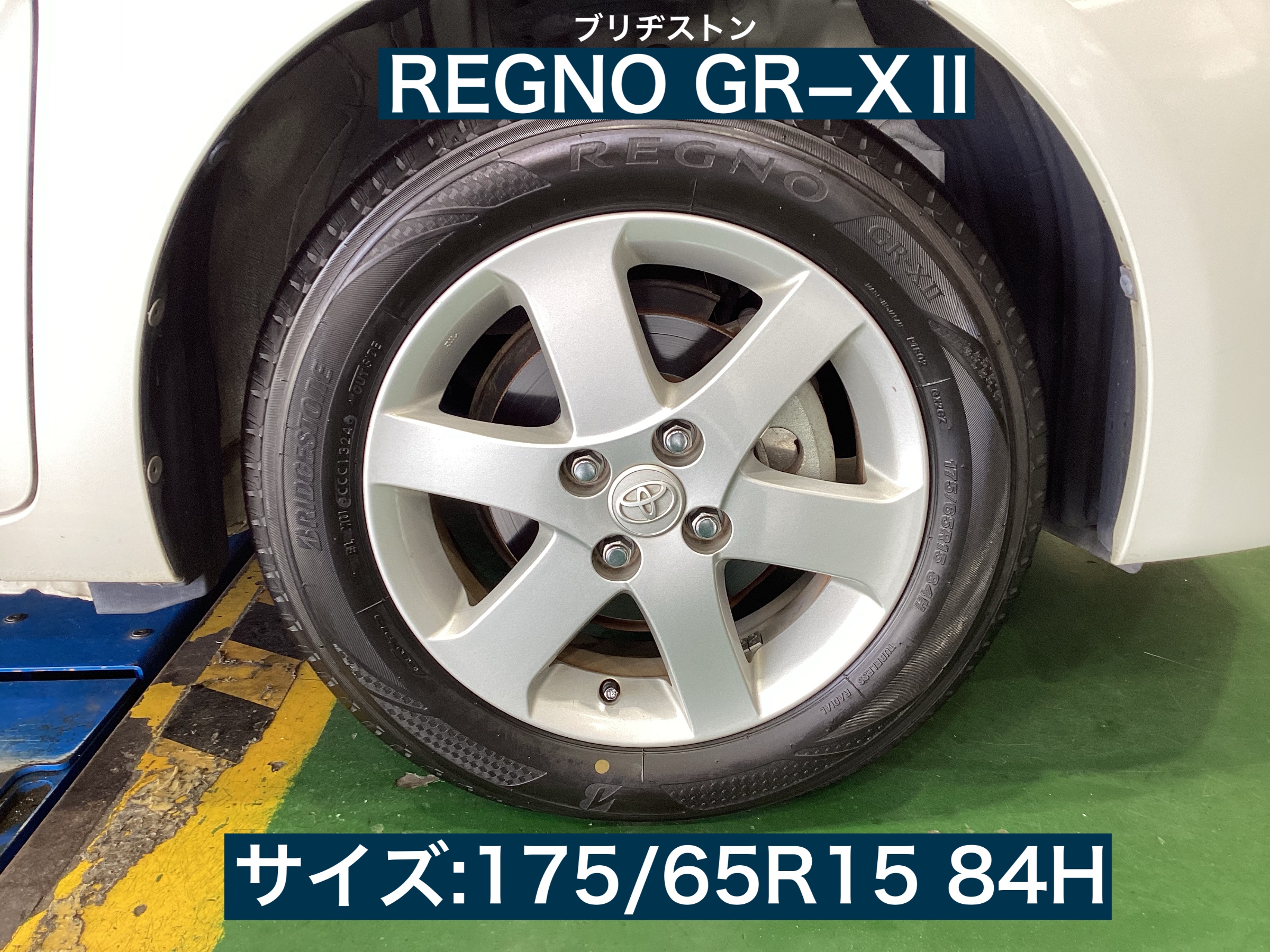 スタッフが撮影