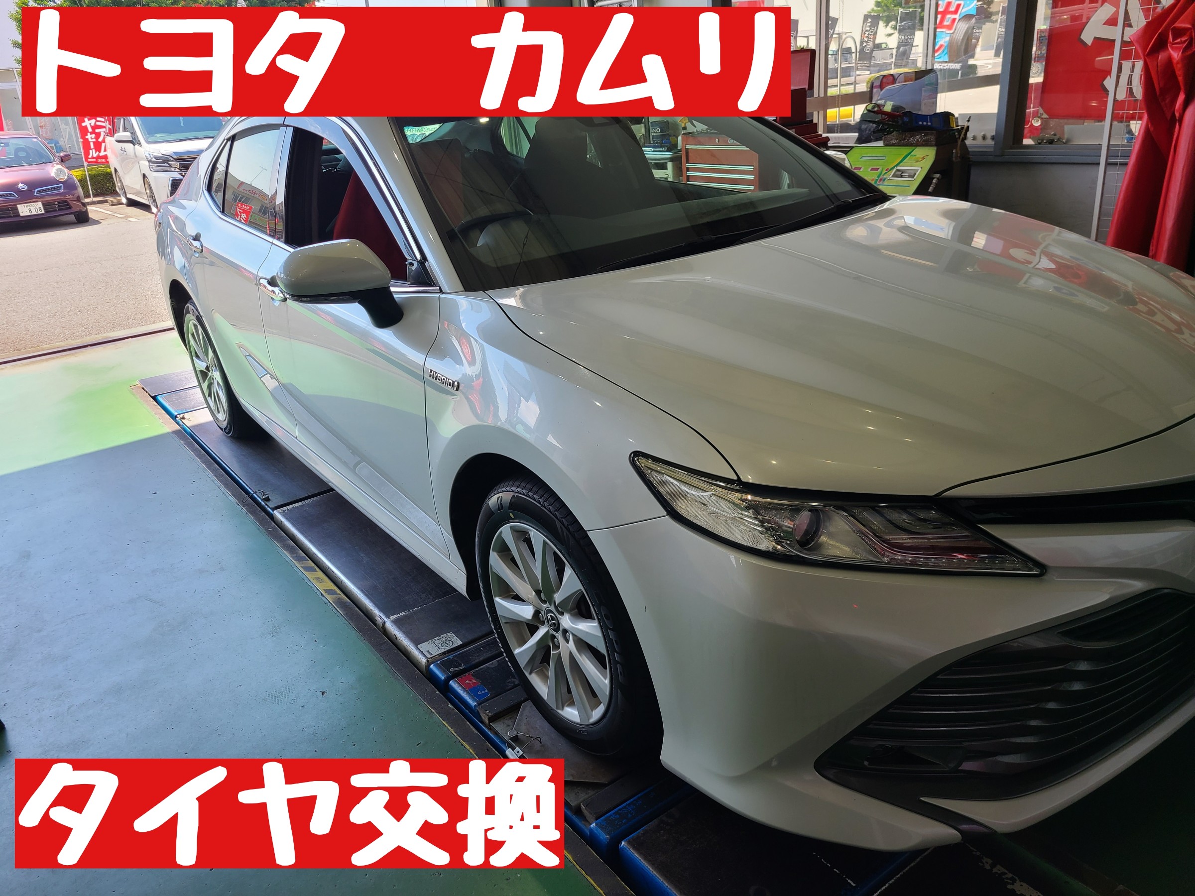 スタッフが撮影しました。