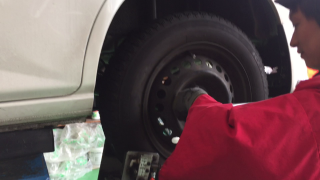動画