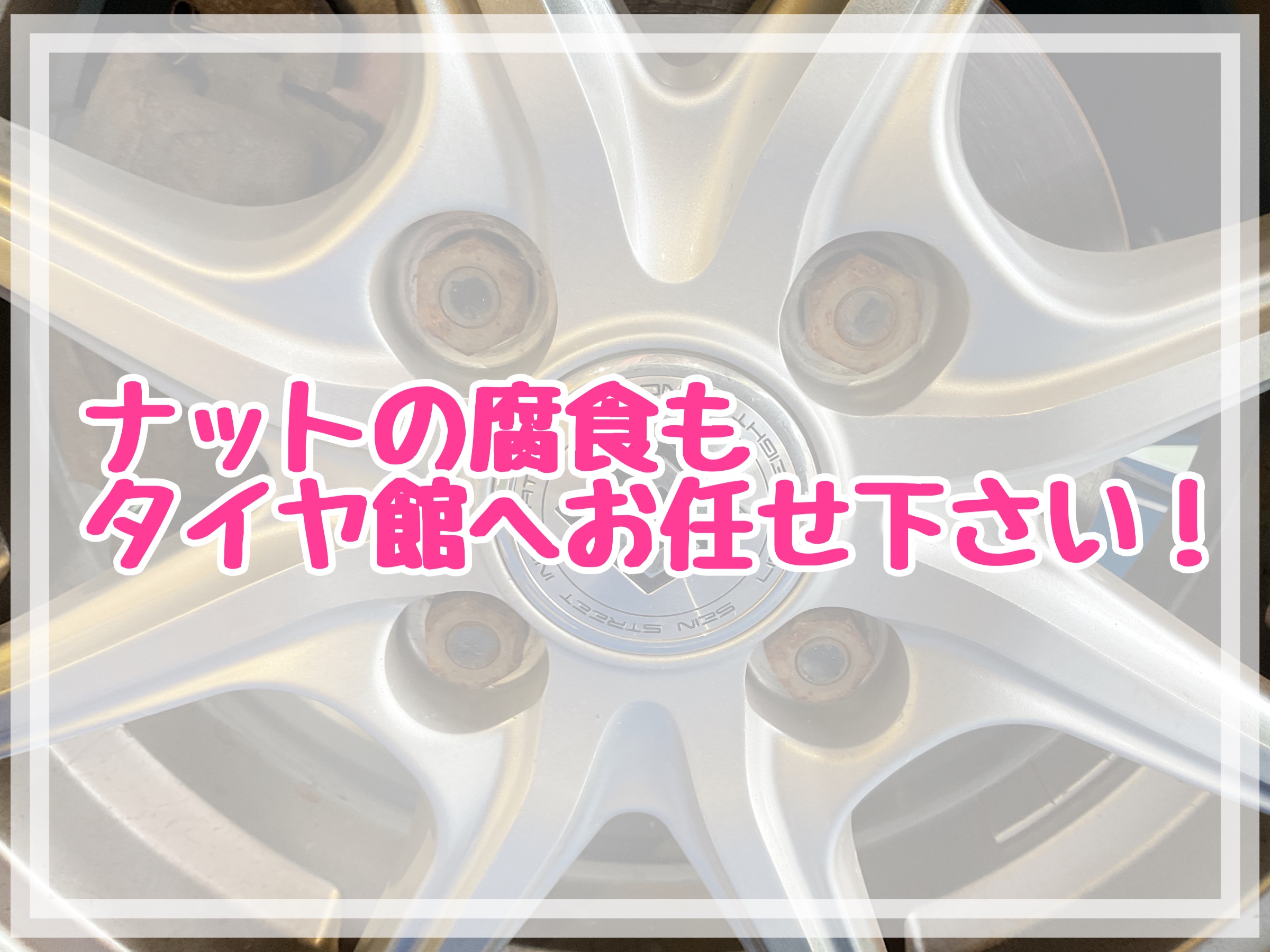 スタッフが撮影加工