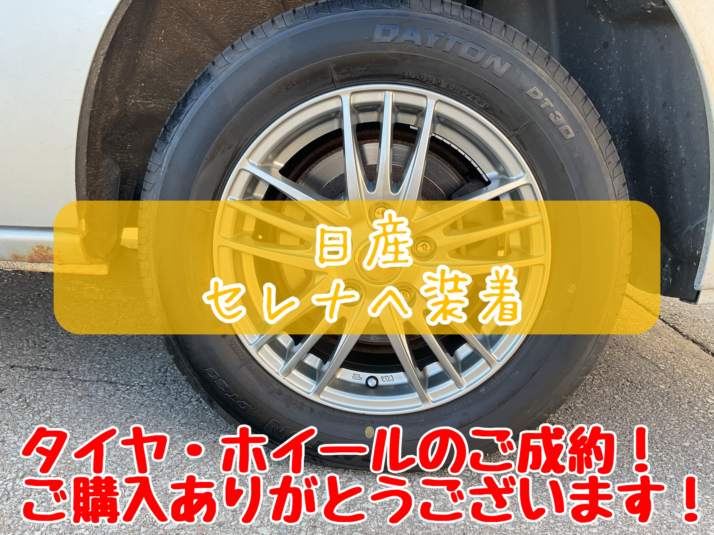 スタッフが撮影加工
