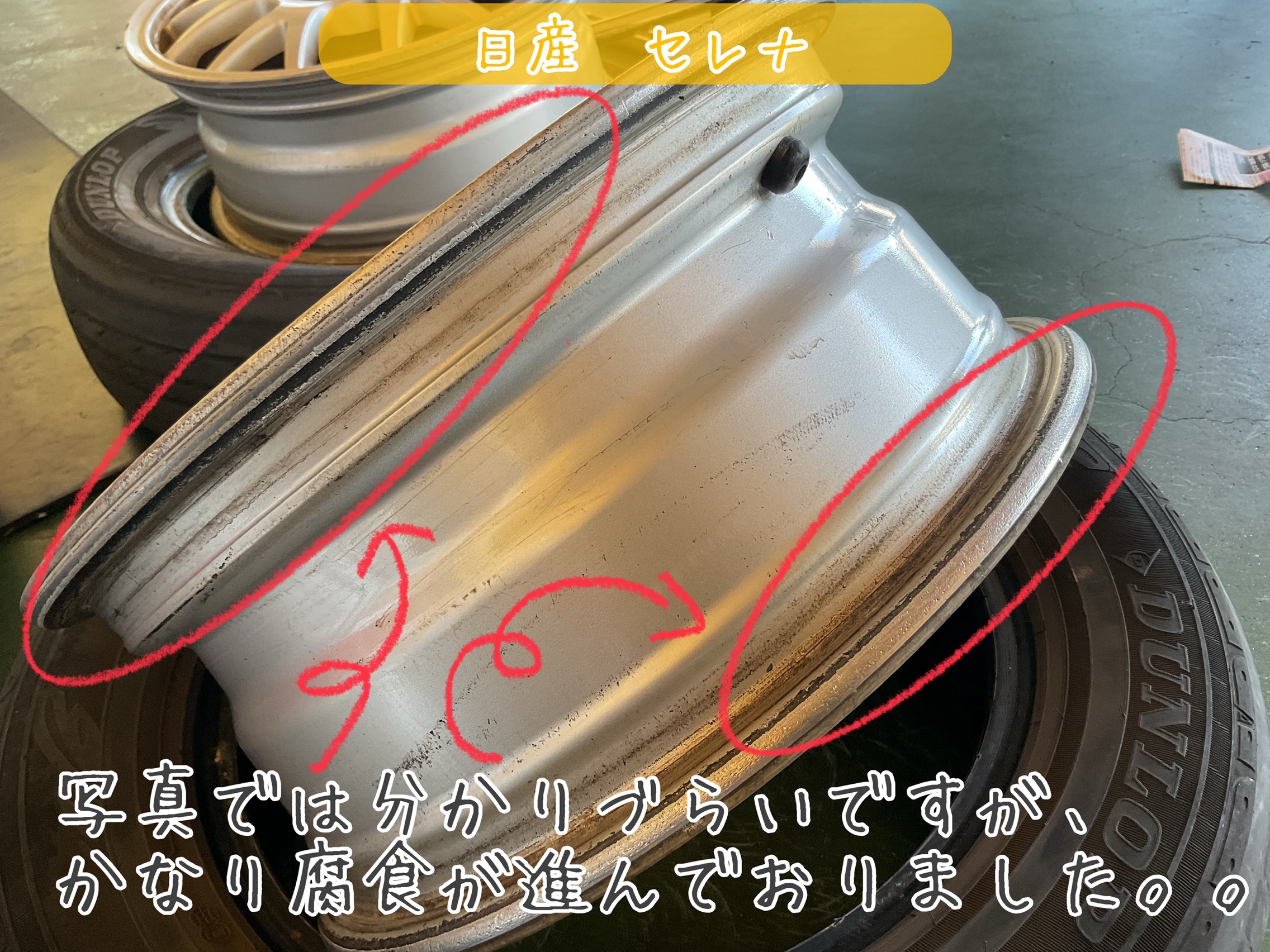 スタッフが撮影加工