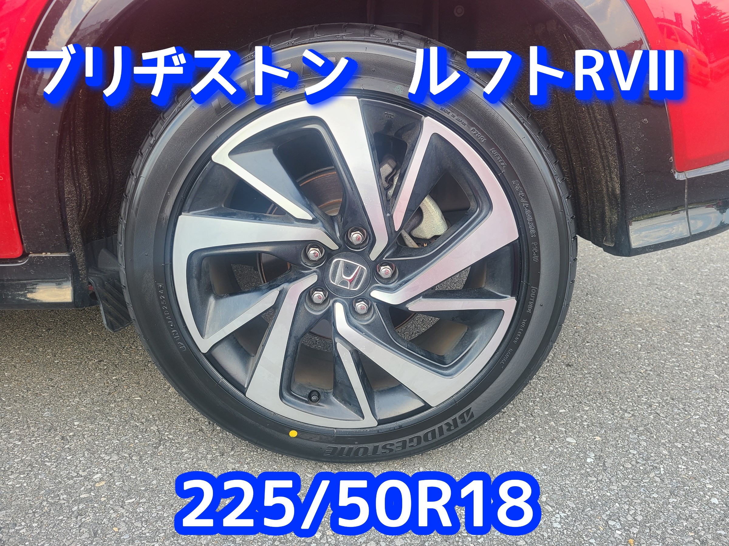 スタッフが撮影しました。