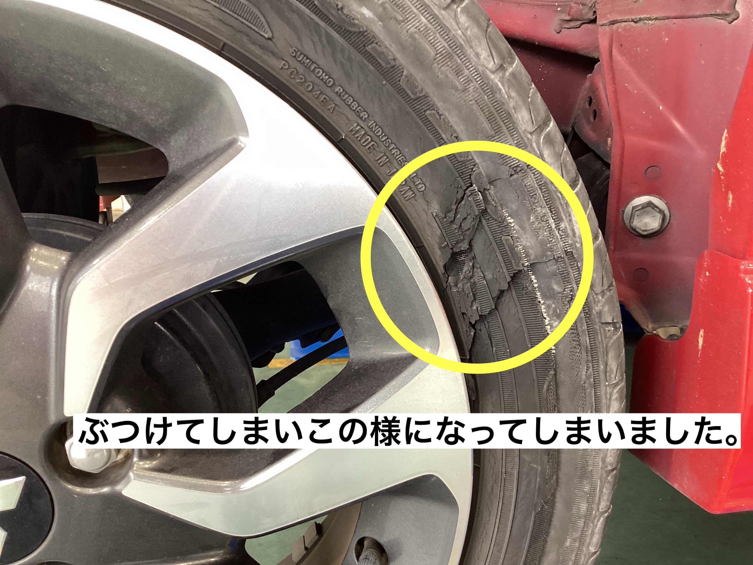 スタッフが撮影