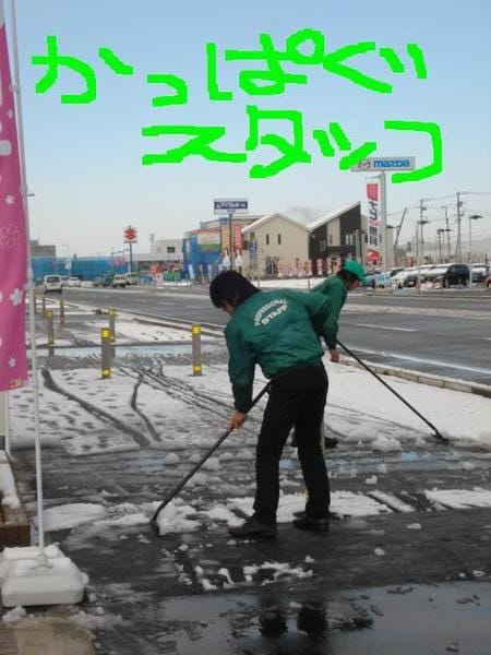 かっぱぎます スタッフ日記 タイヤ館 グリーンピットつくば研究学園 茨城県のタイヤ カー用品ショップ タイヤからはじまる トータルカーメンテナンス タイヤ館グループ