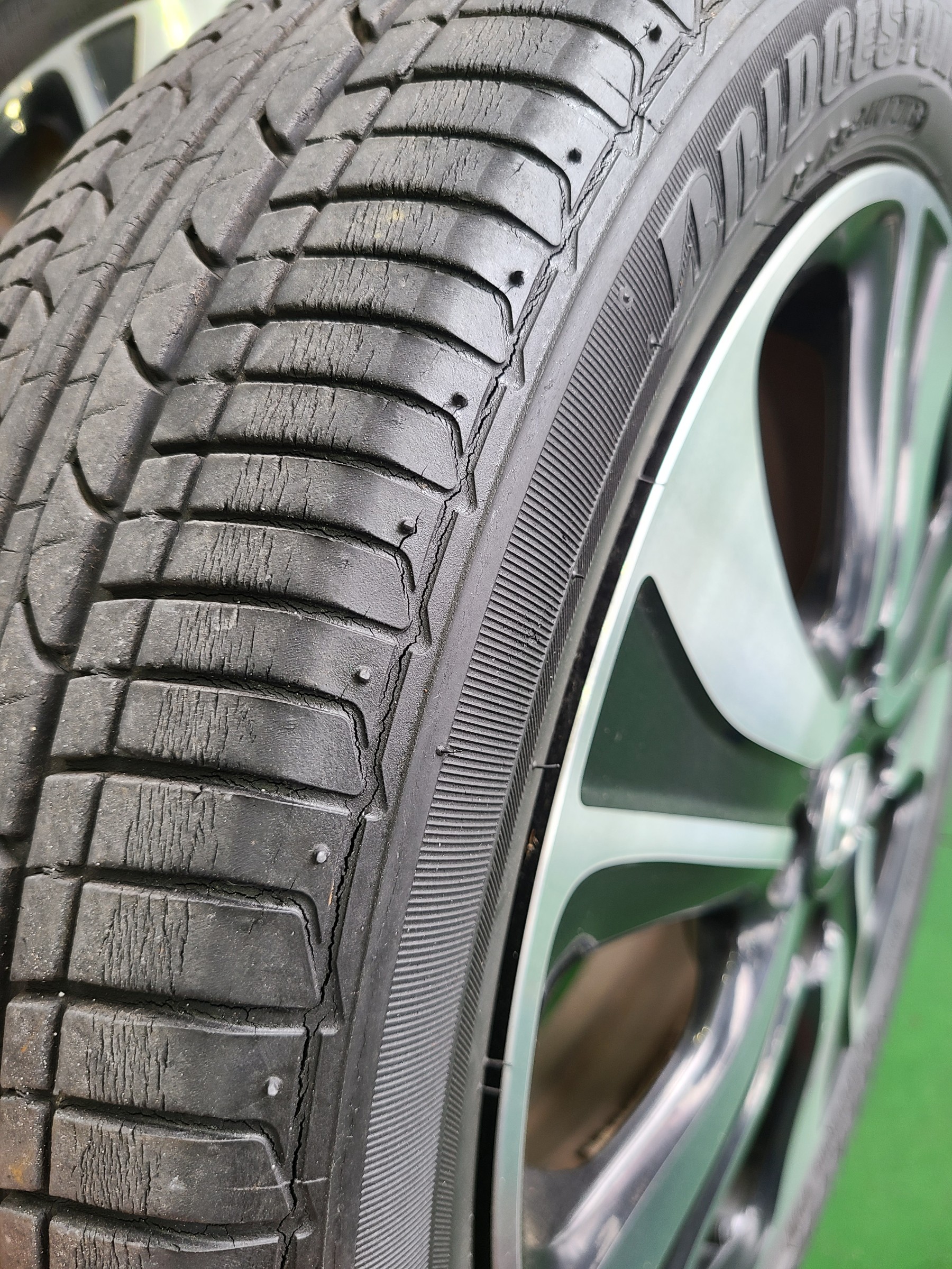 スタッフが撮影しました。