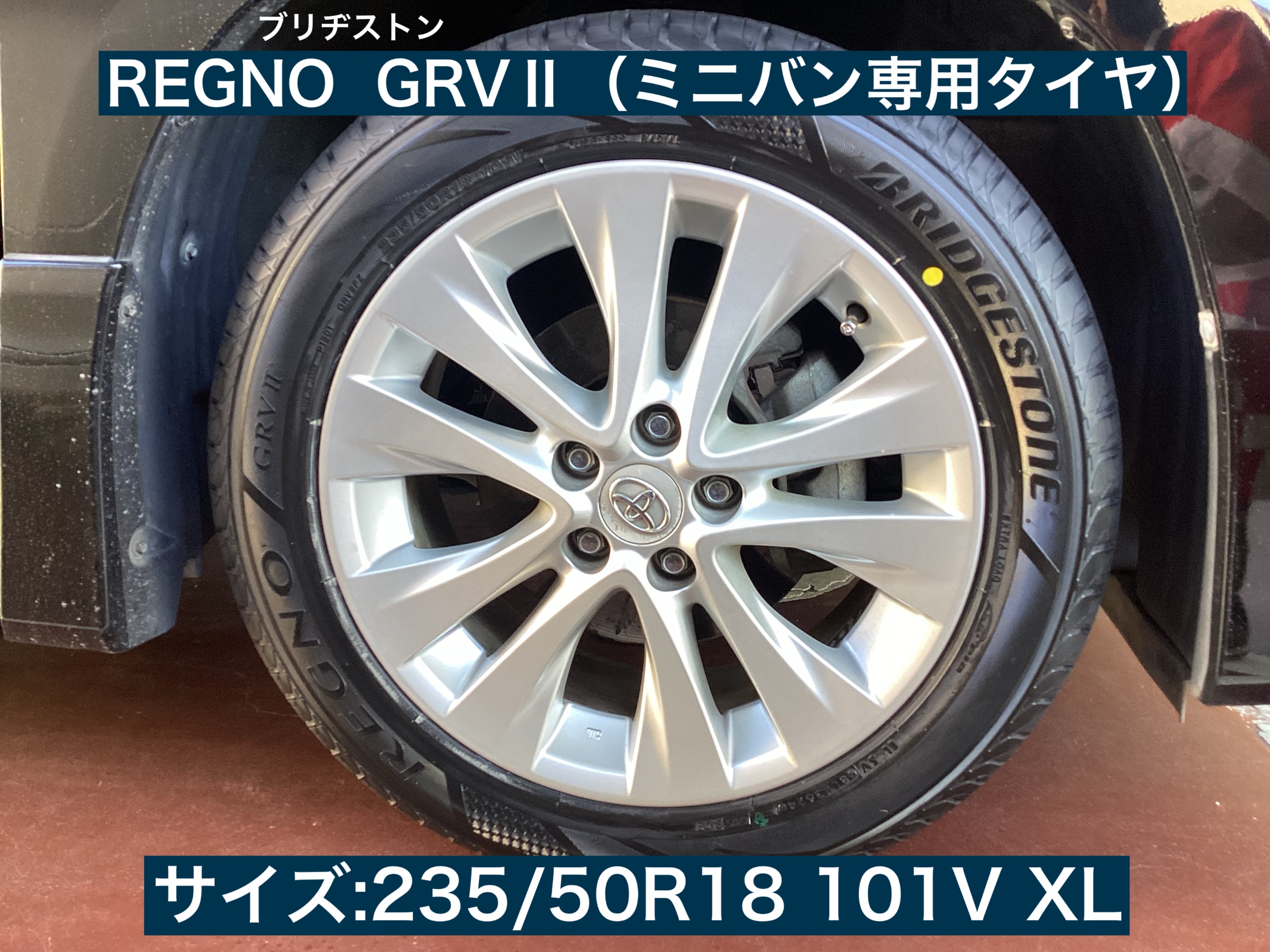 スタッフが撮影